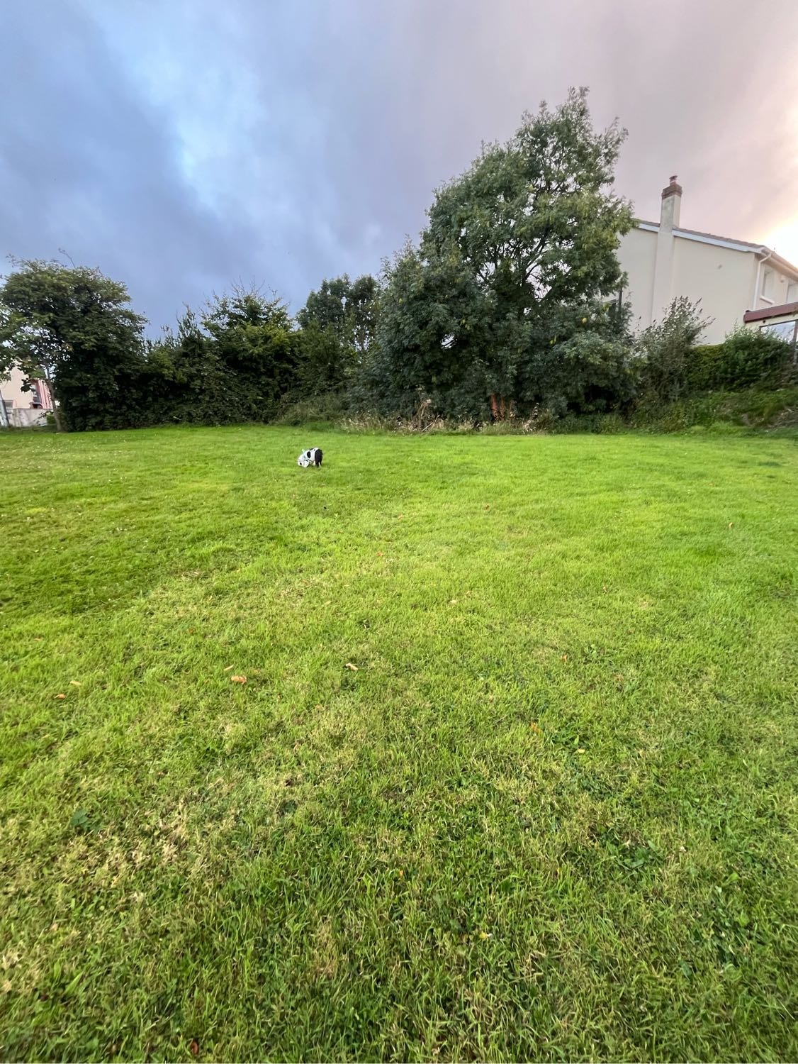 image-10