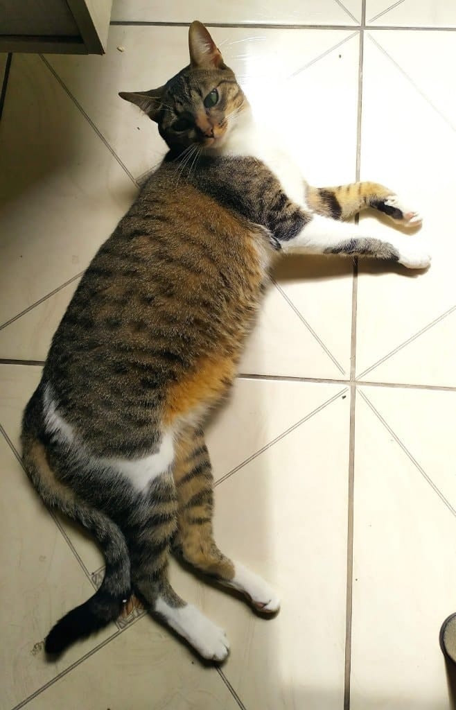 image-7
