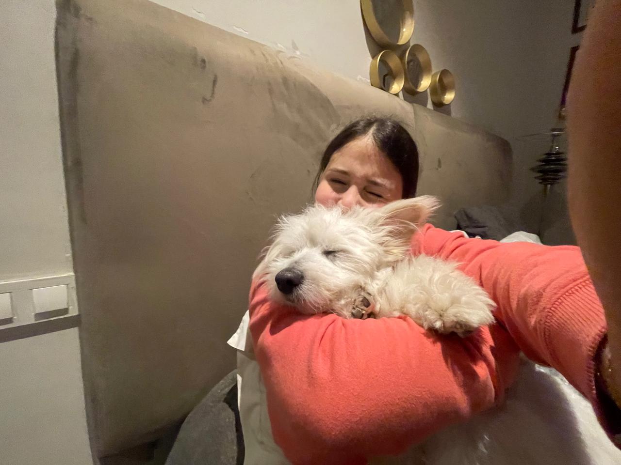 image-6