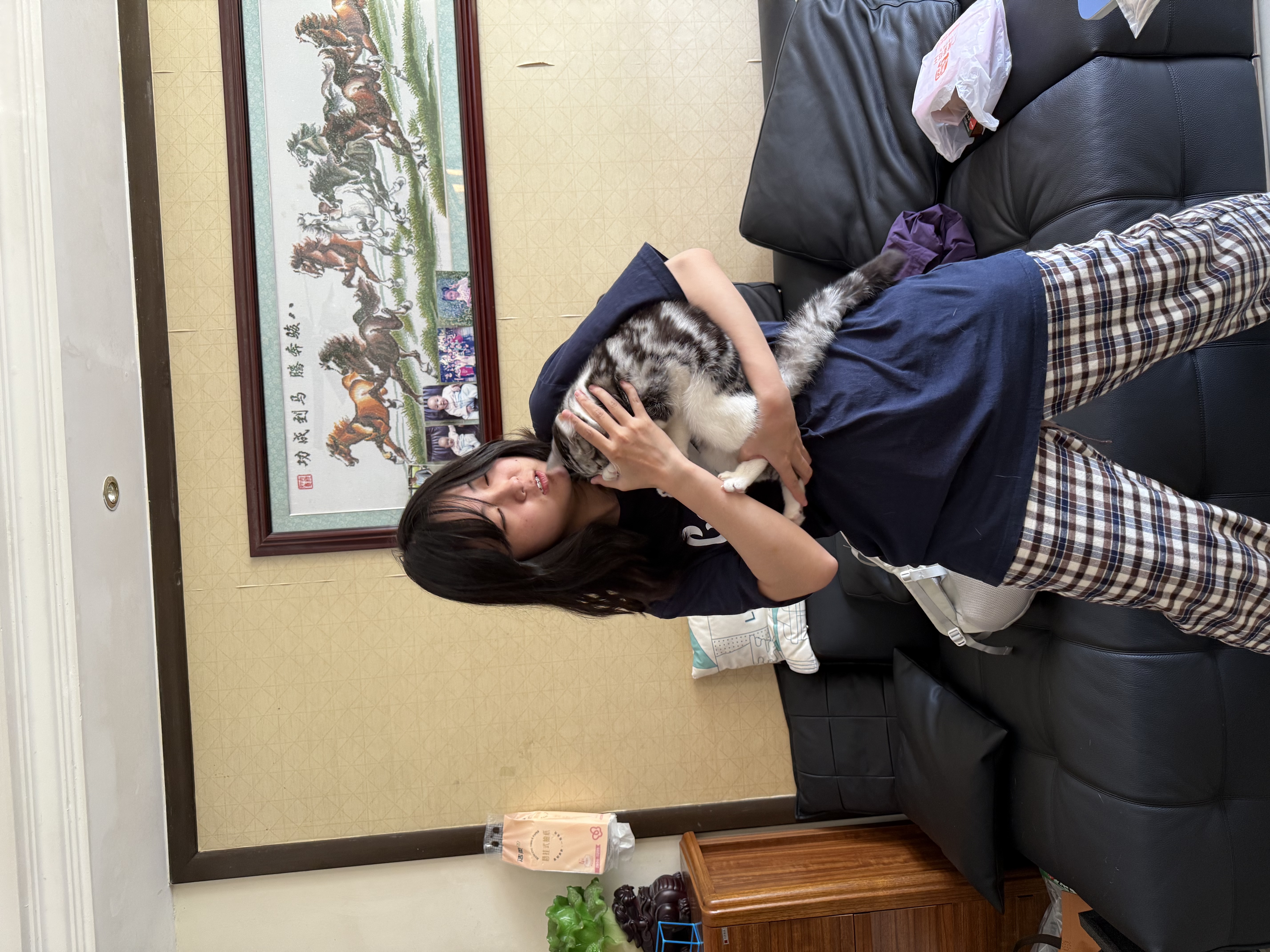 image-6