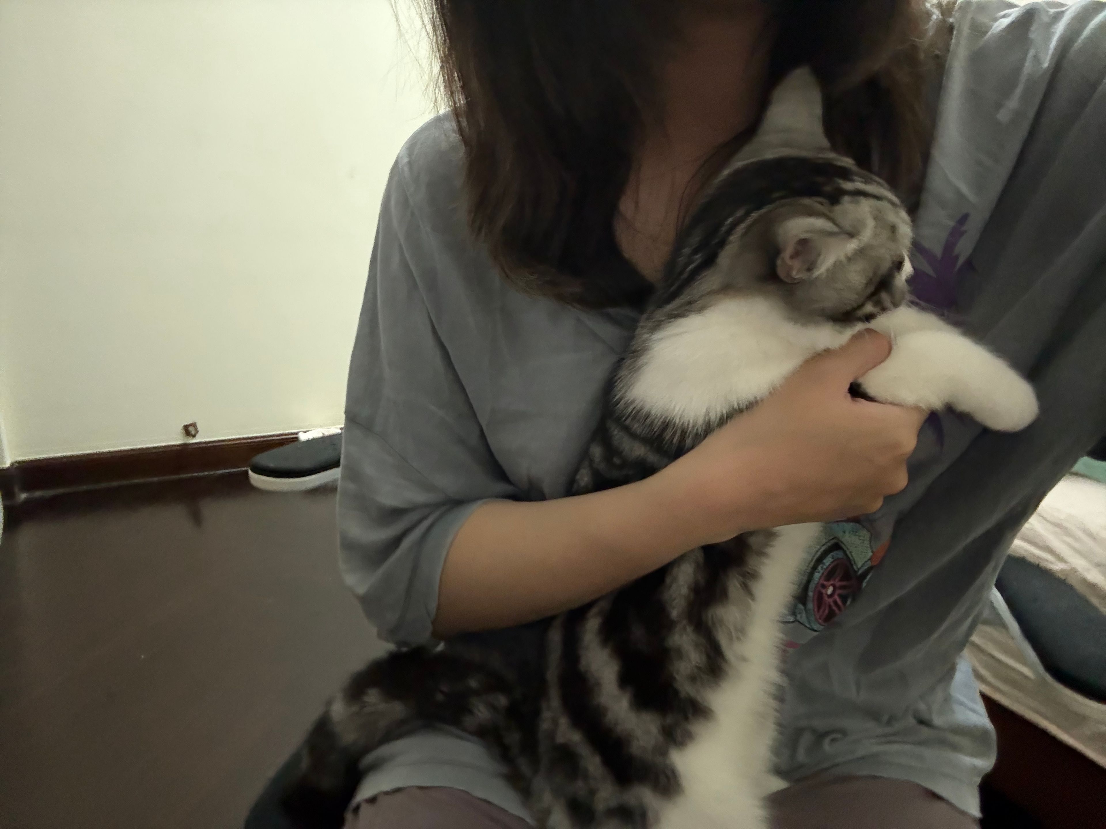 image-9