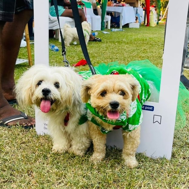 Bella & Sika