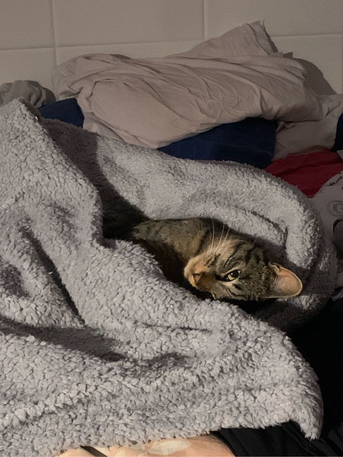 image-6