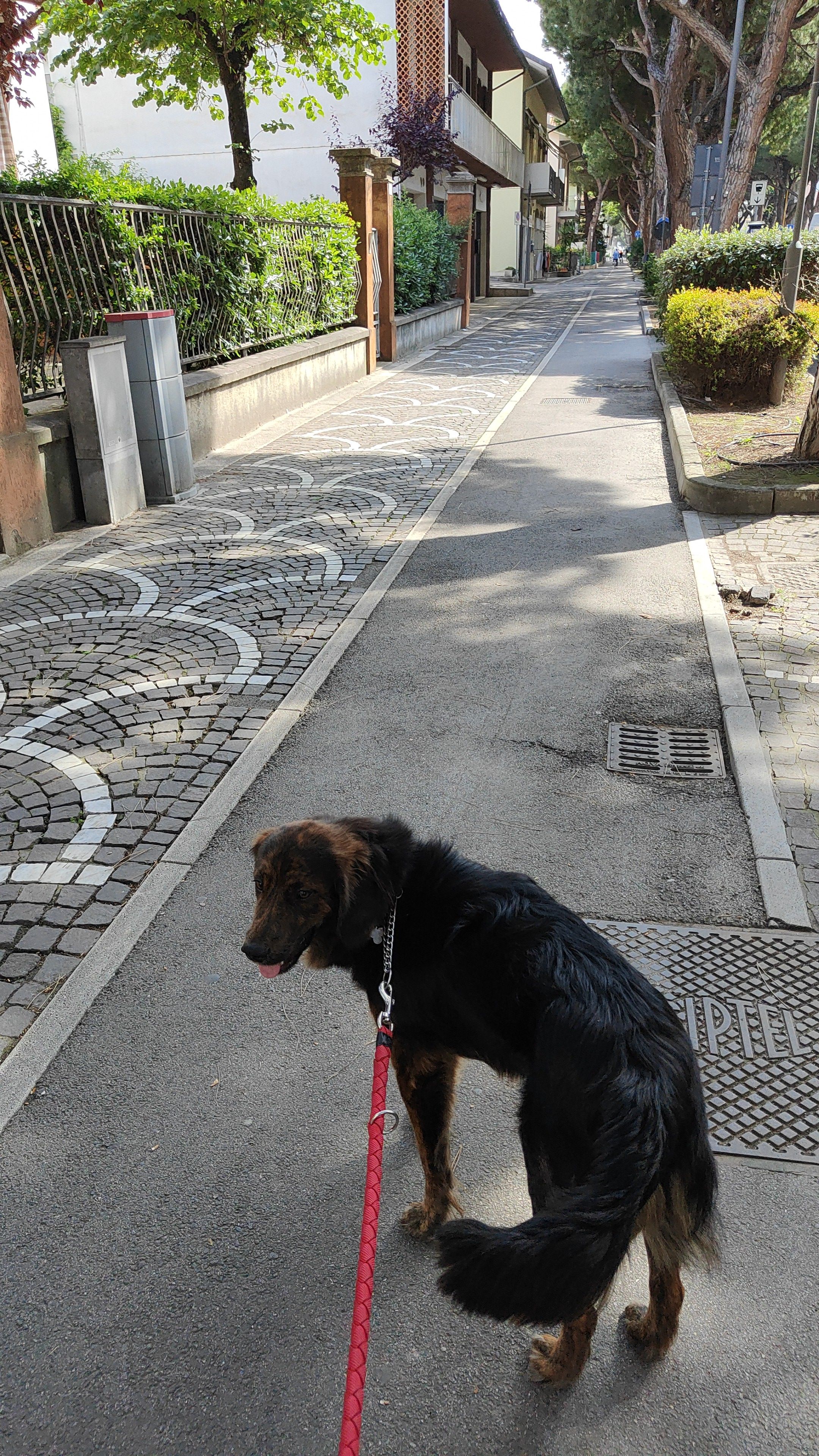 image-9