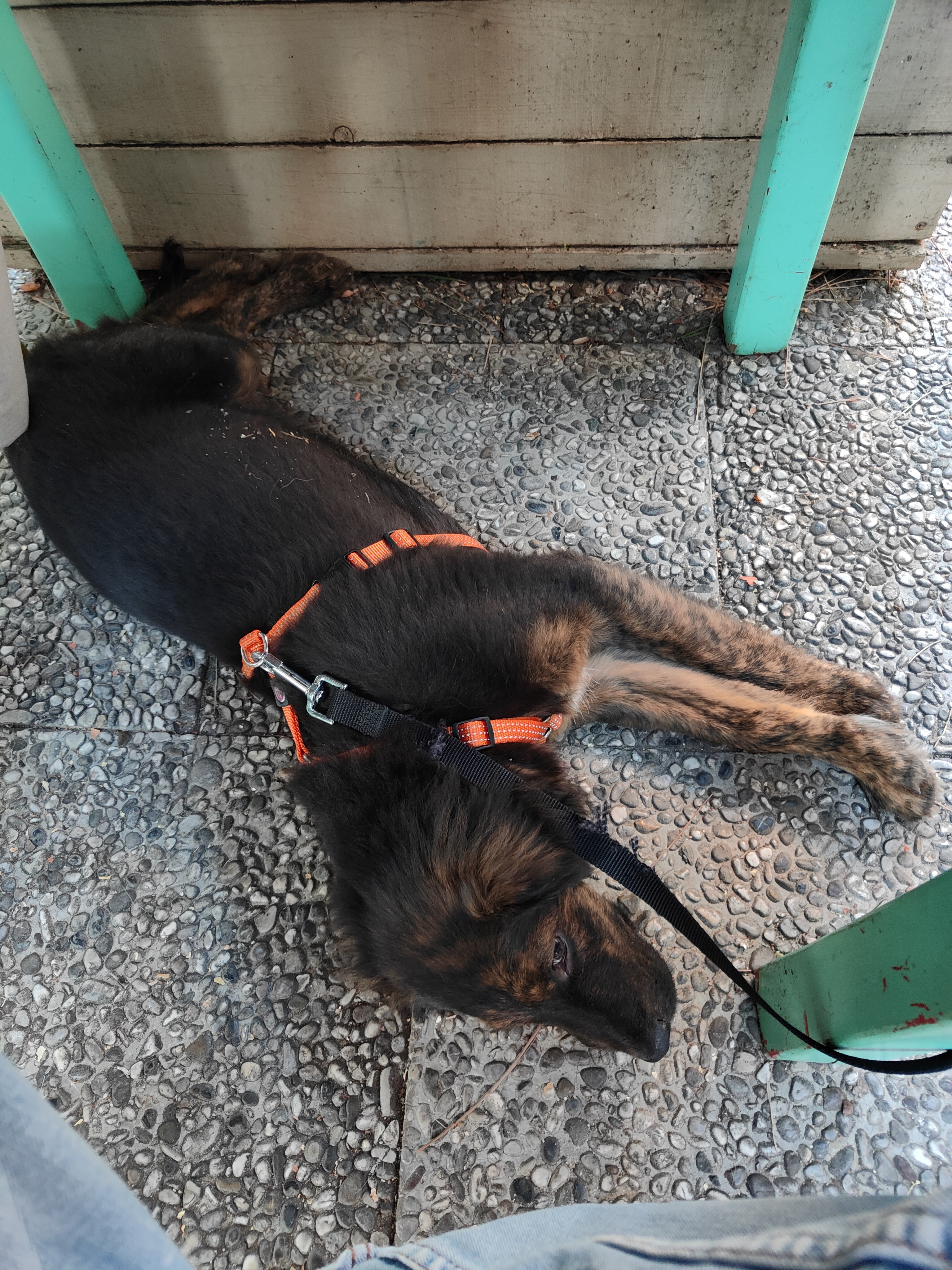 image-8