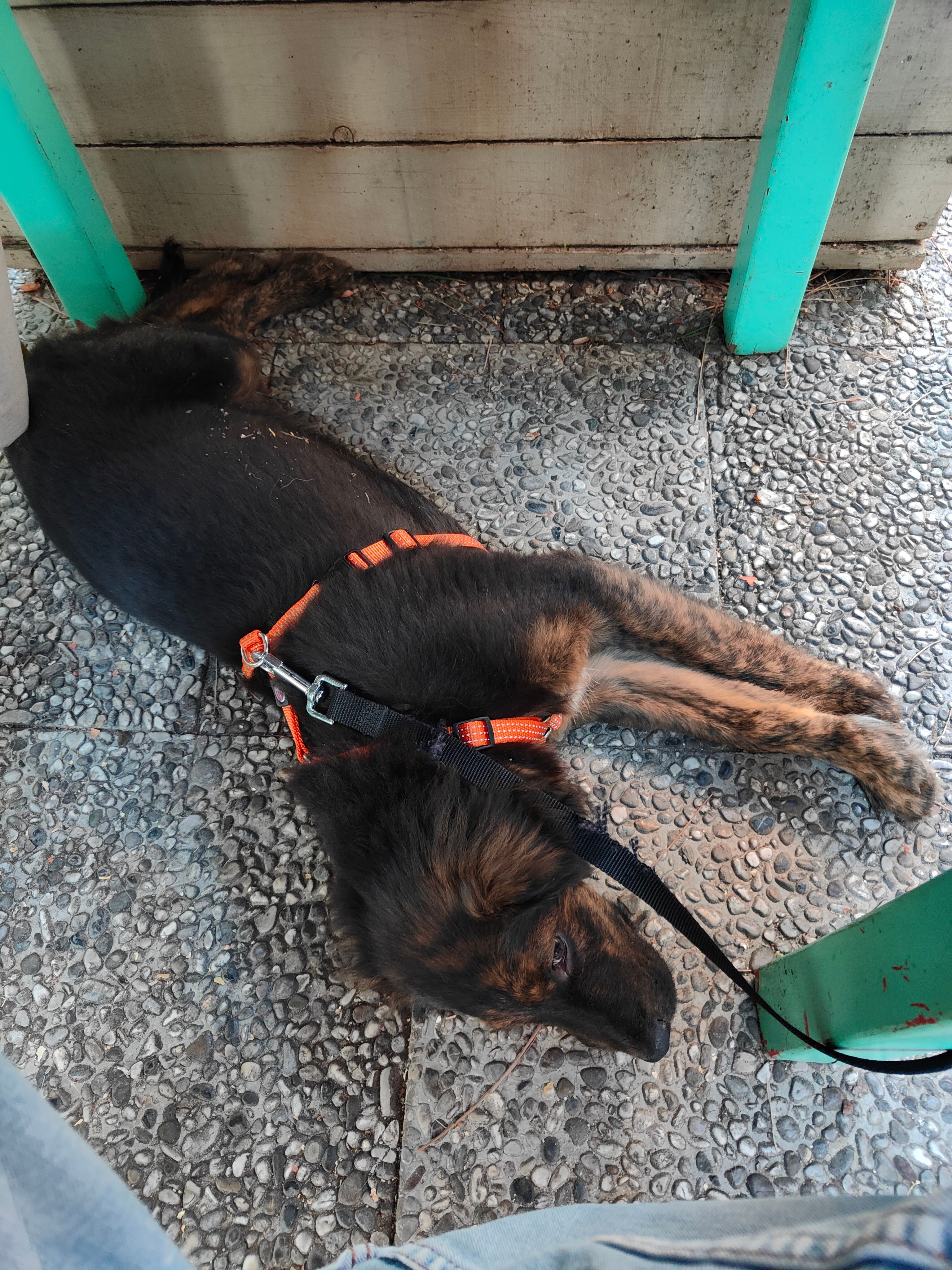 image-8