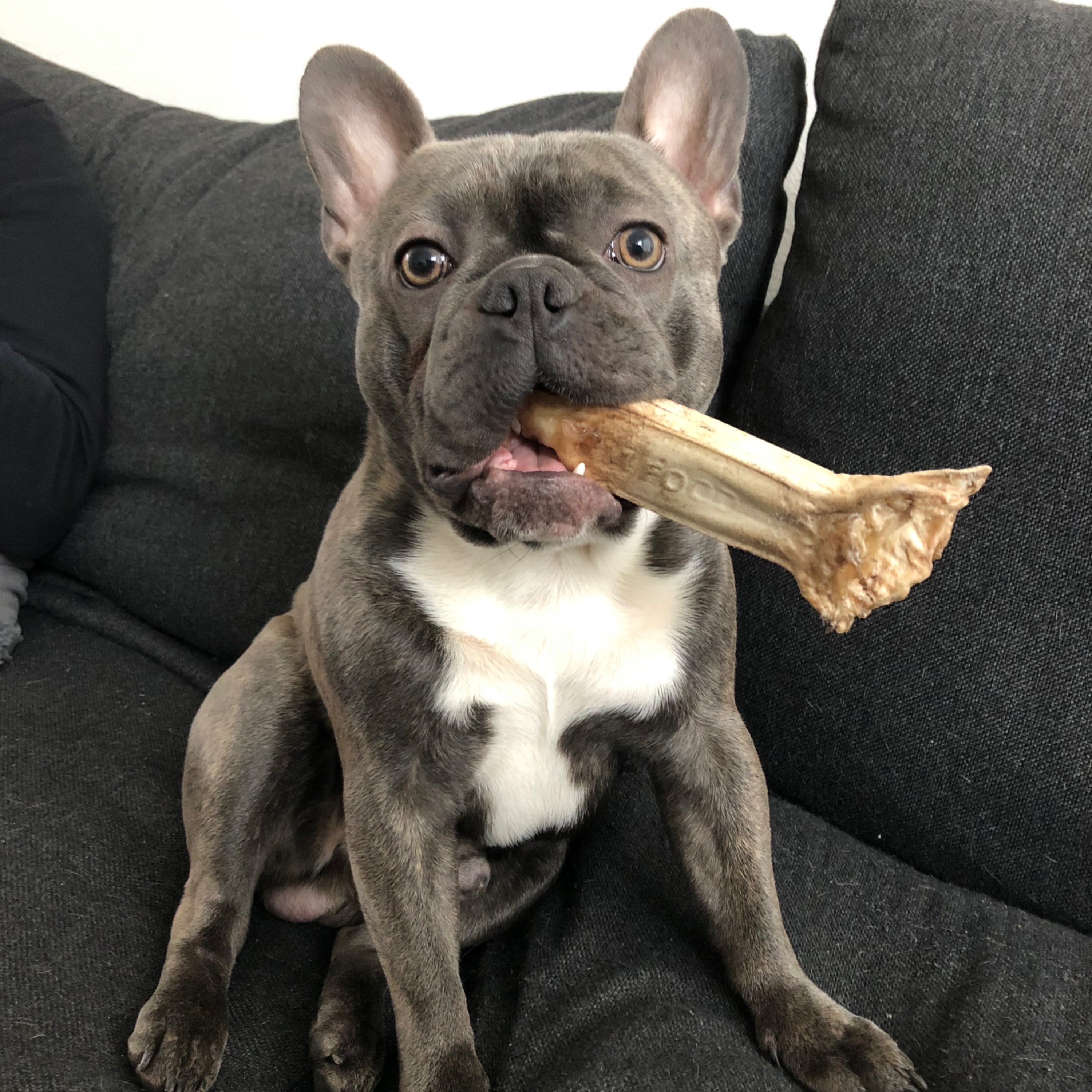 Dex