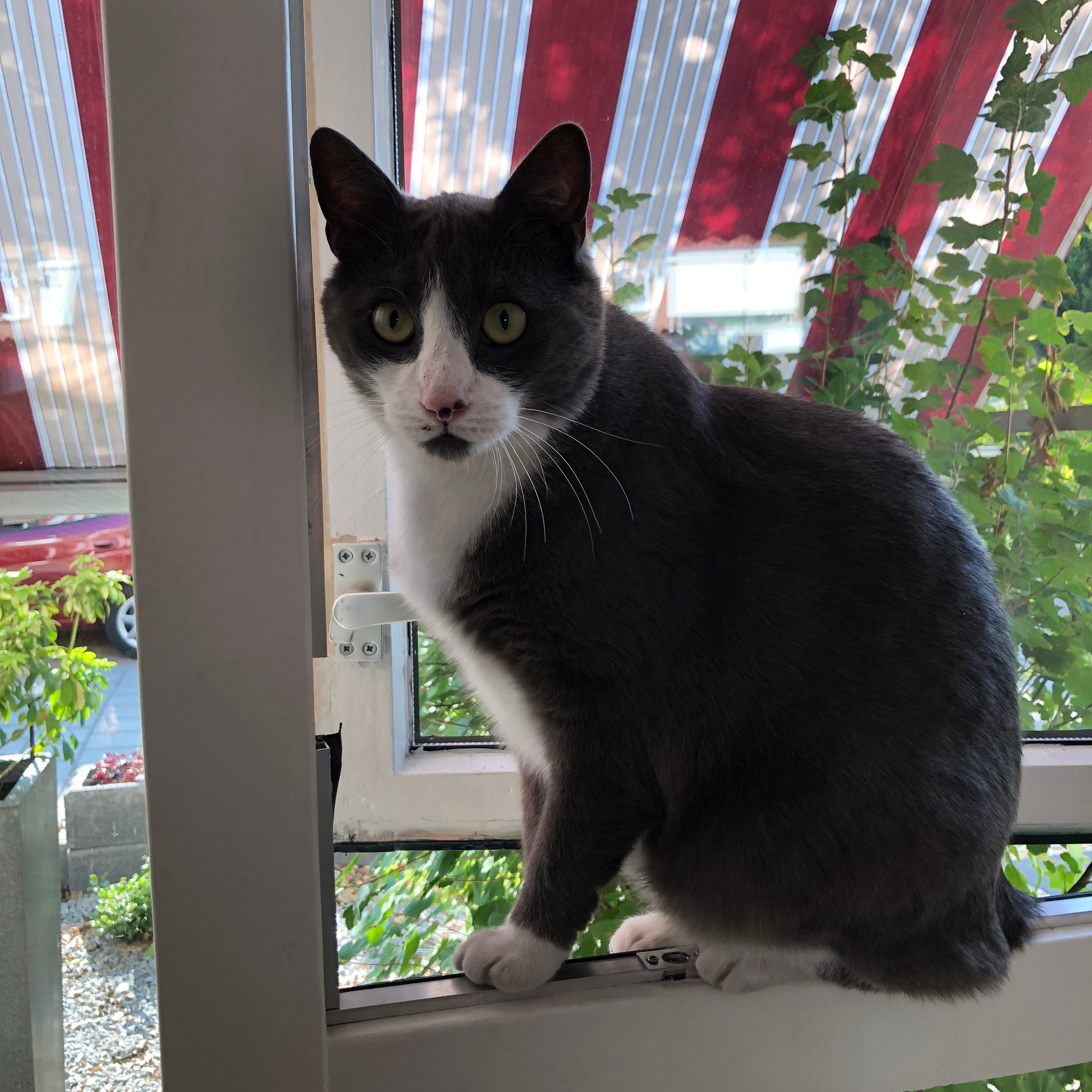 Benjy