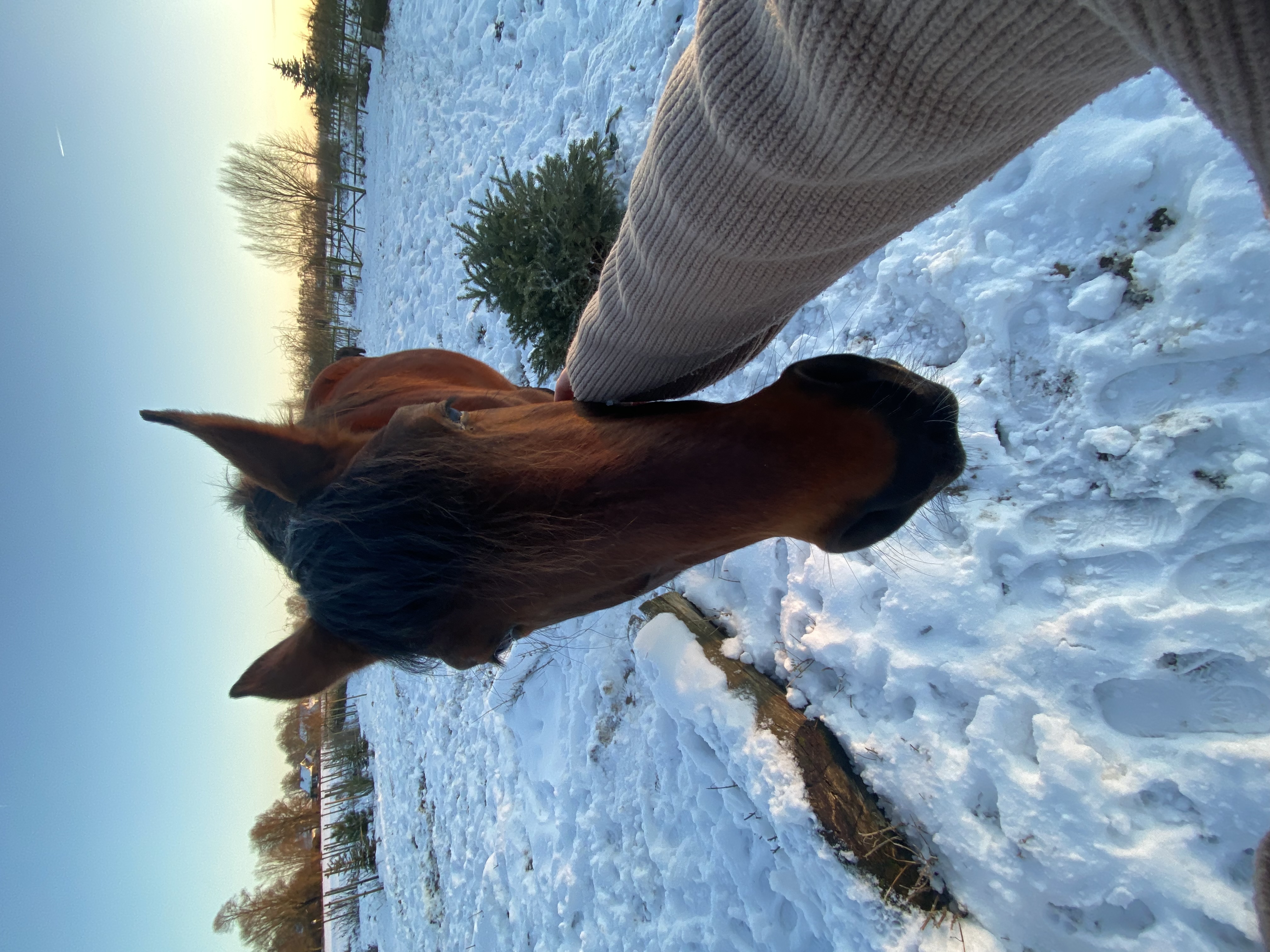 image-7
