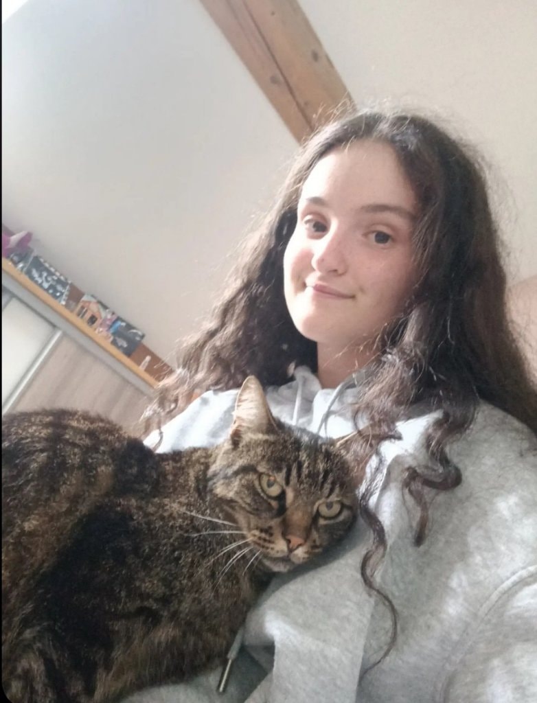 image-6