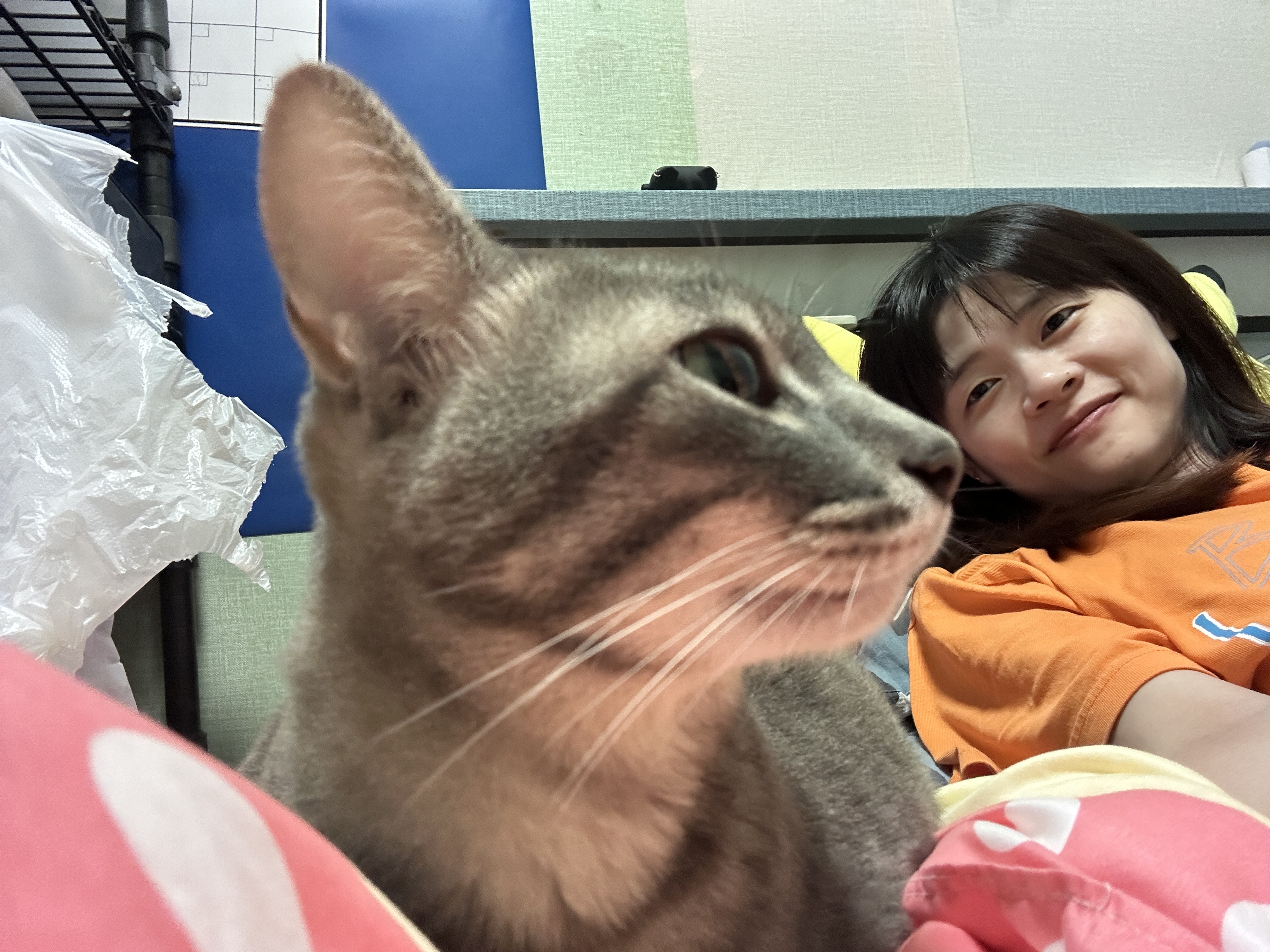 image-10