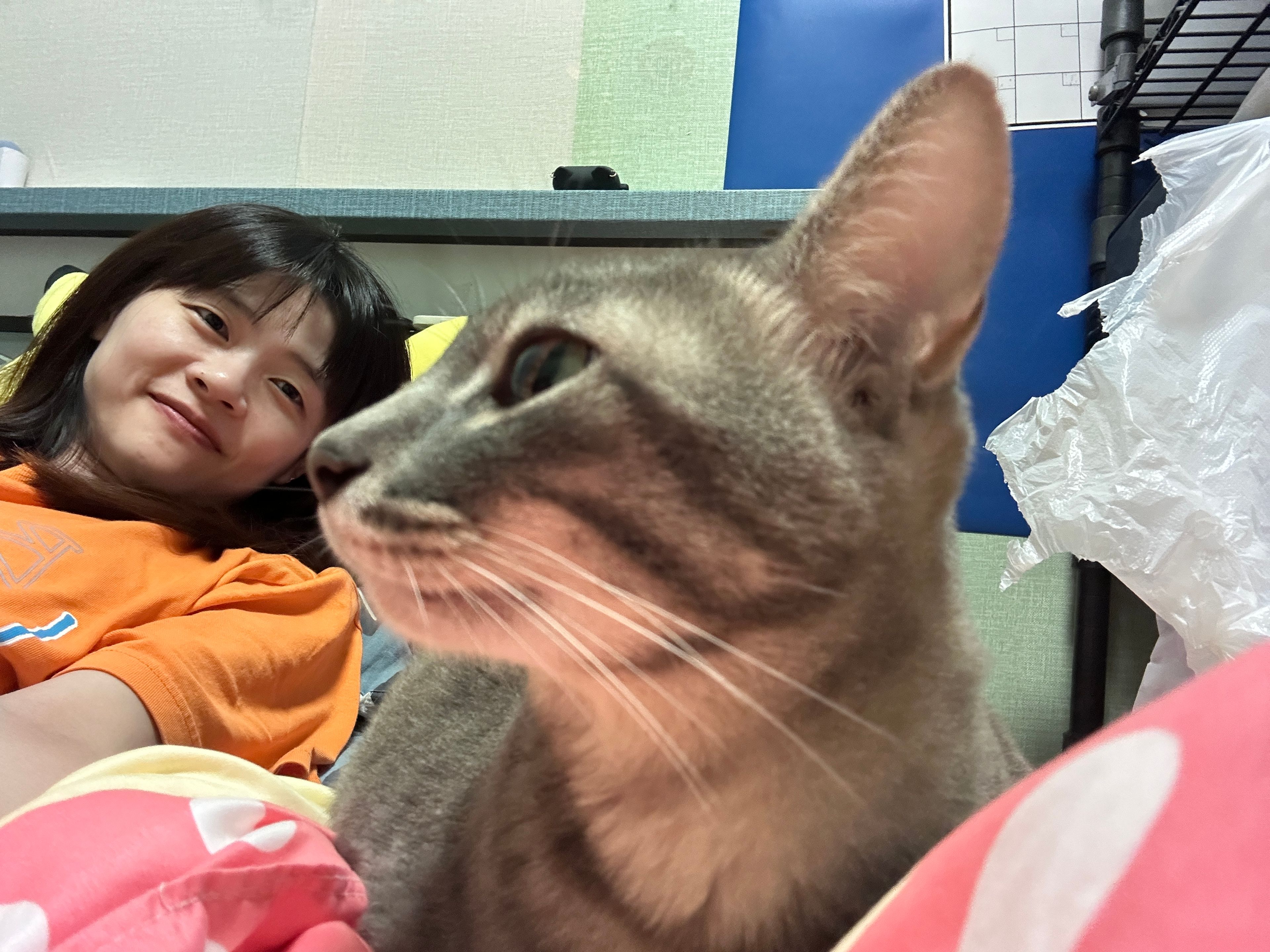 image-10