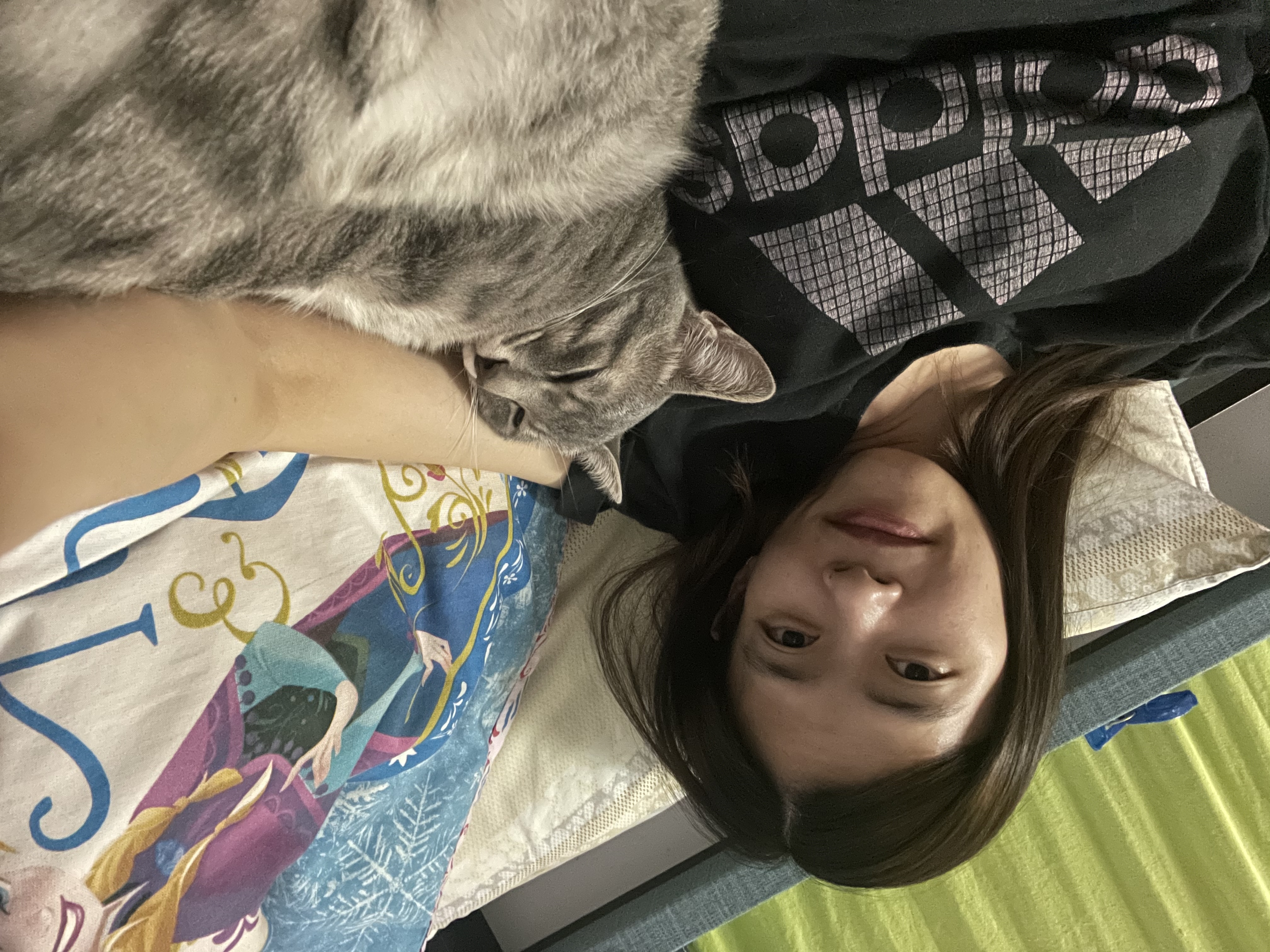 image-7