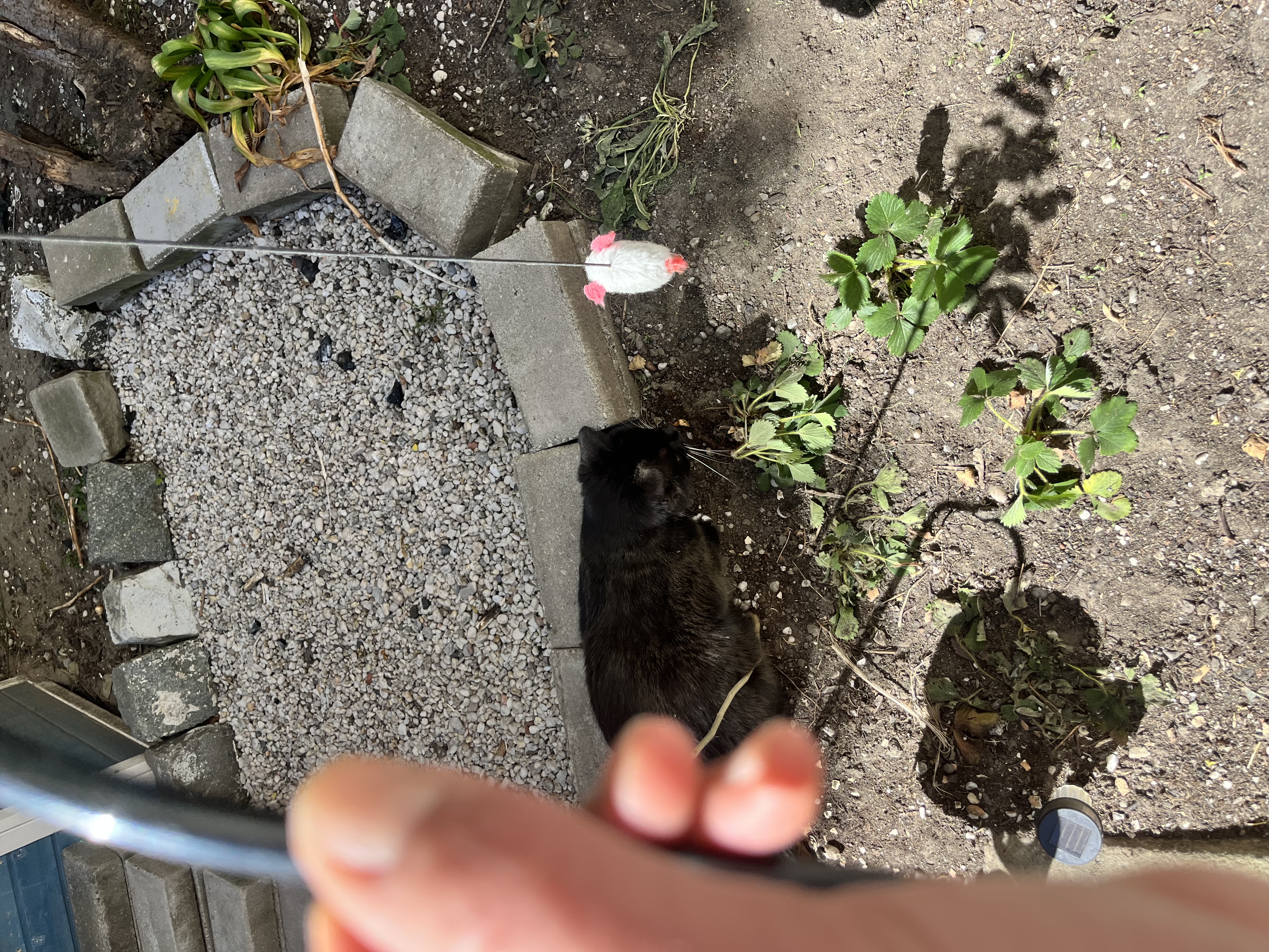 image-12