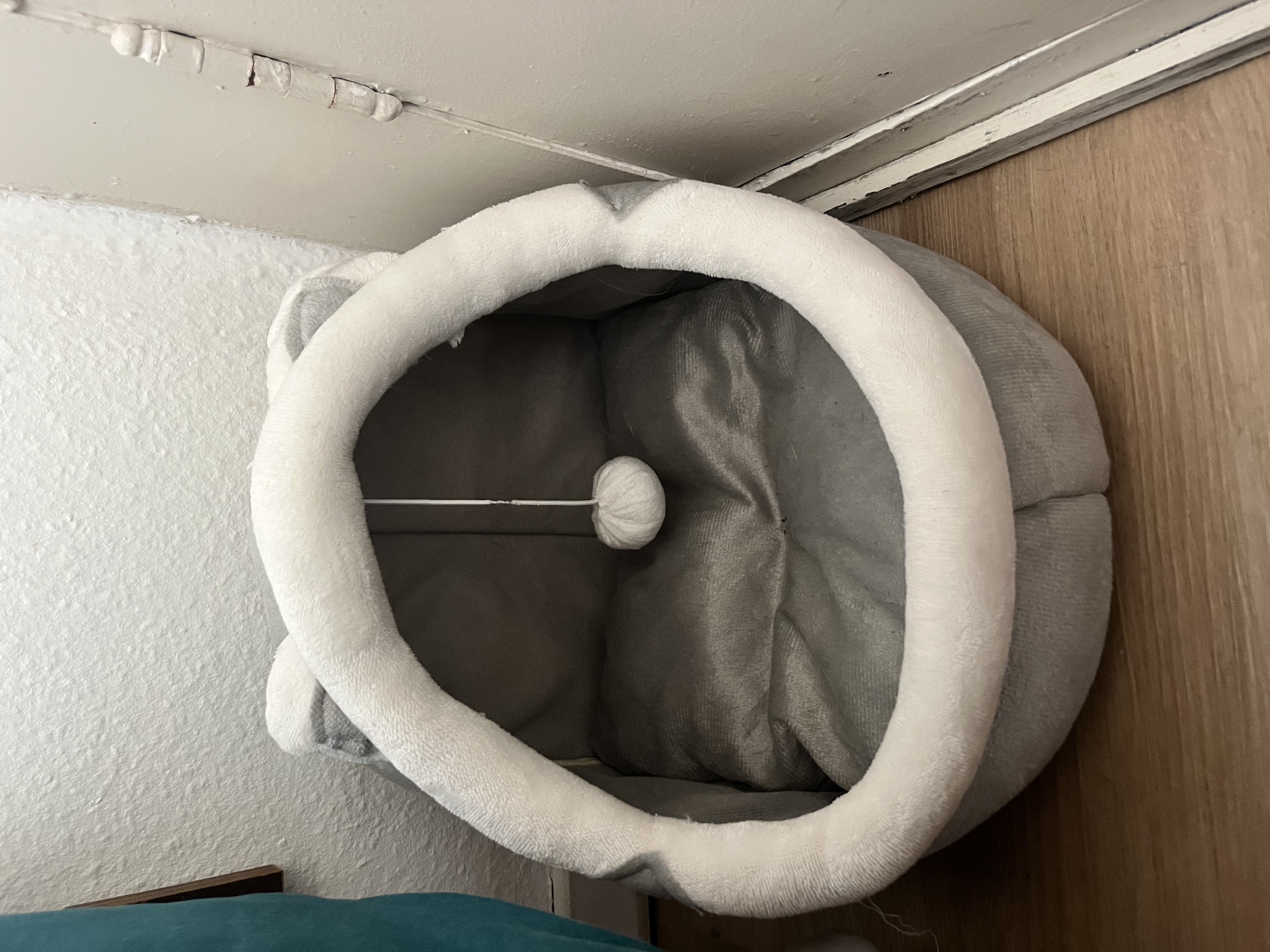 image-19