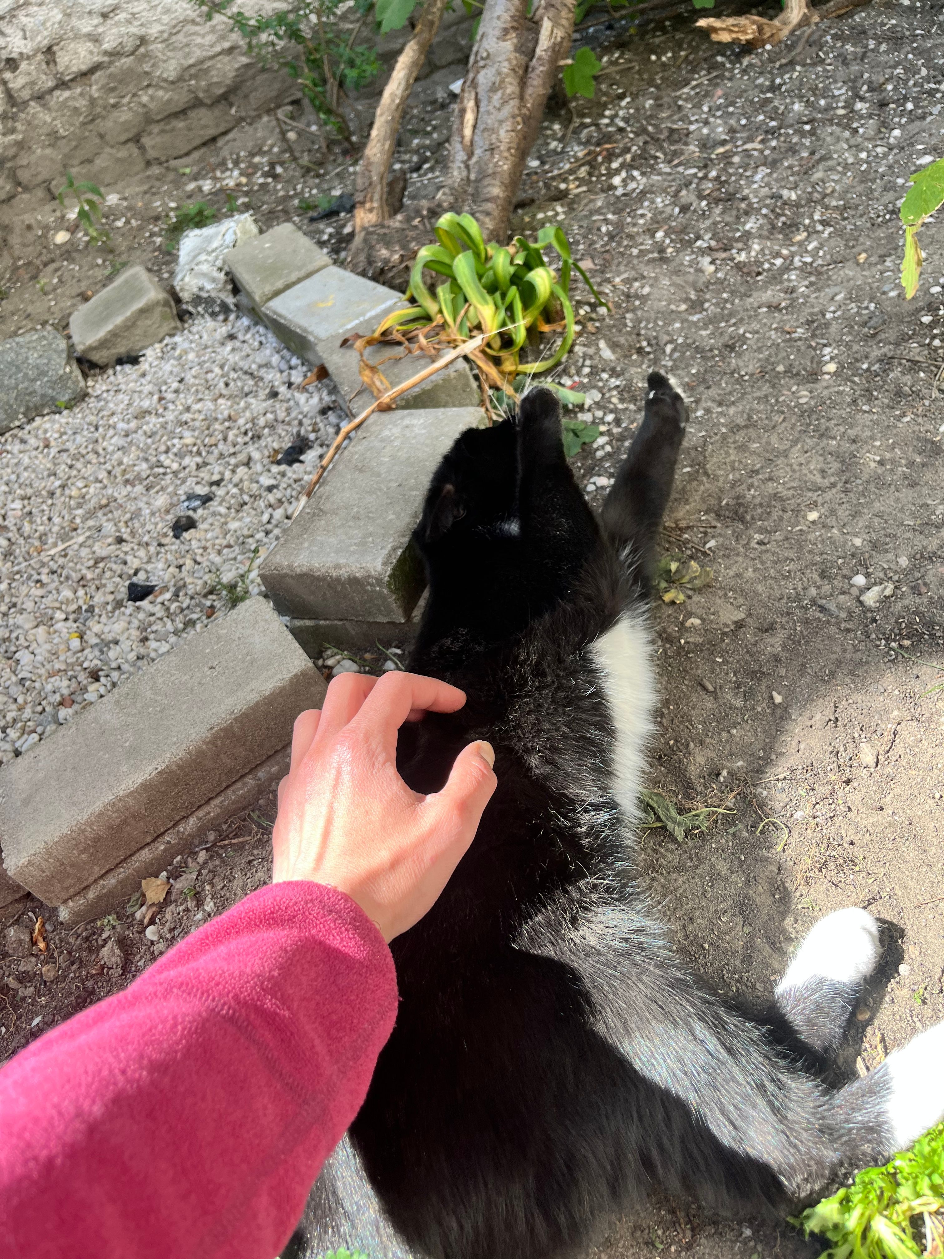 image-10