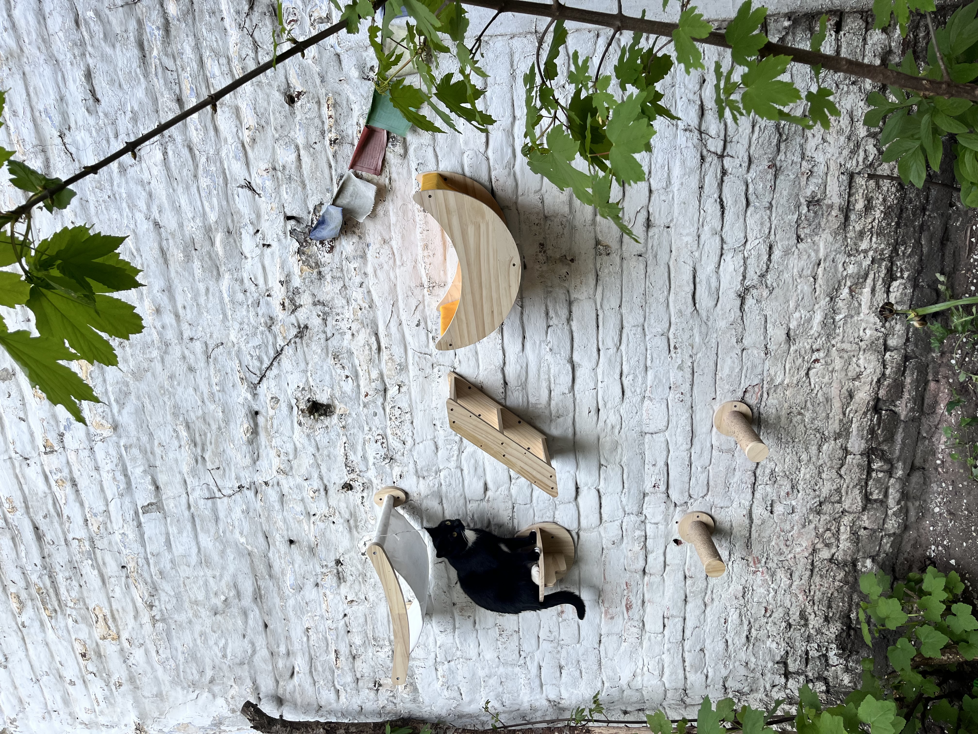 image-3