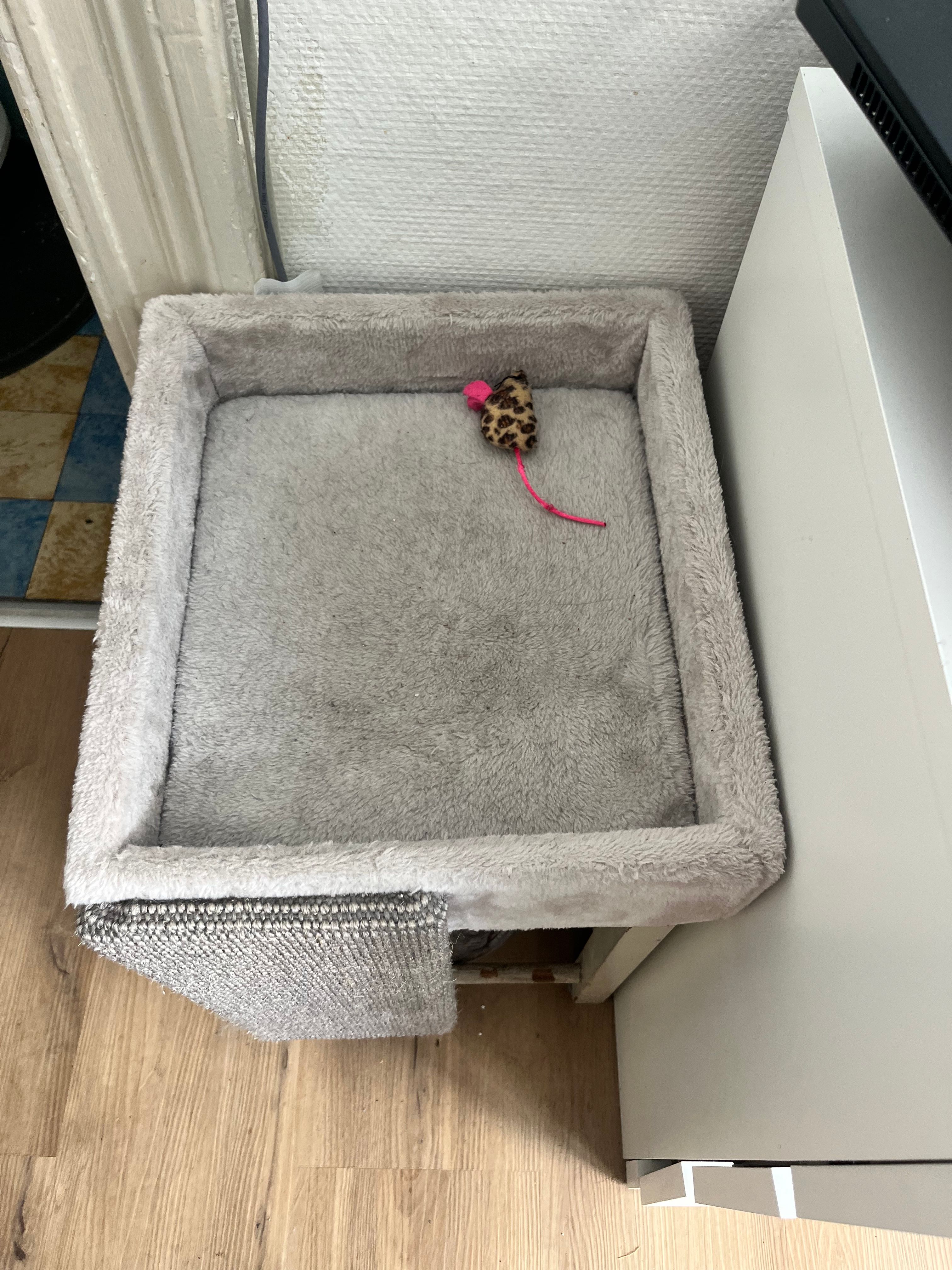 image-18