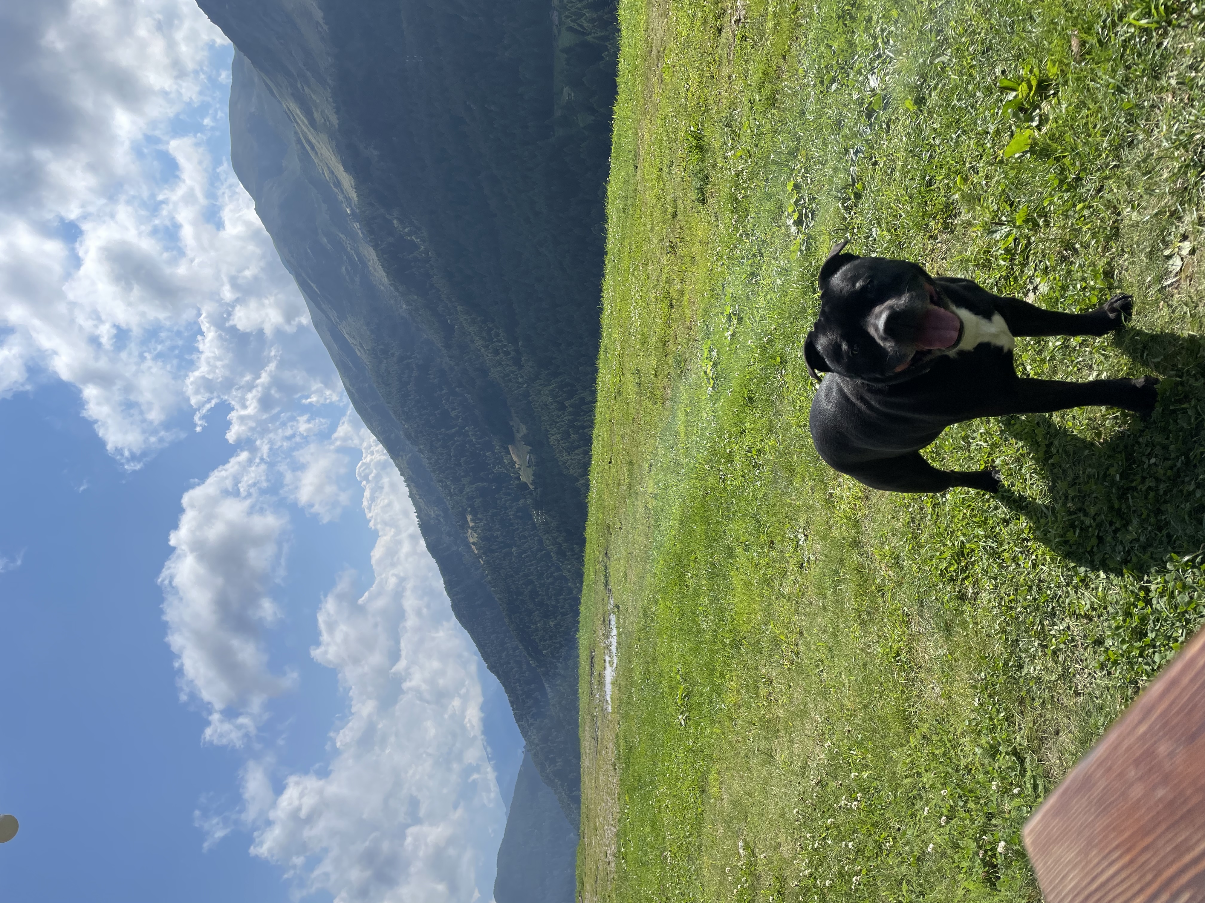 image-5