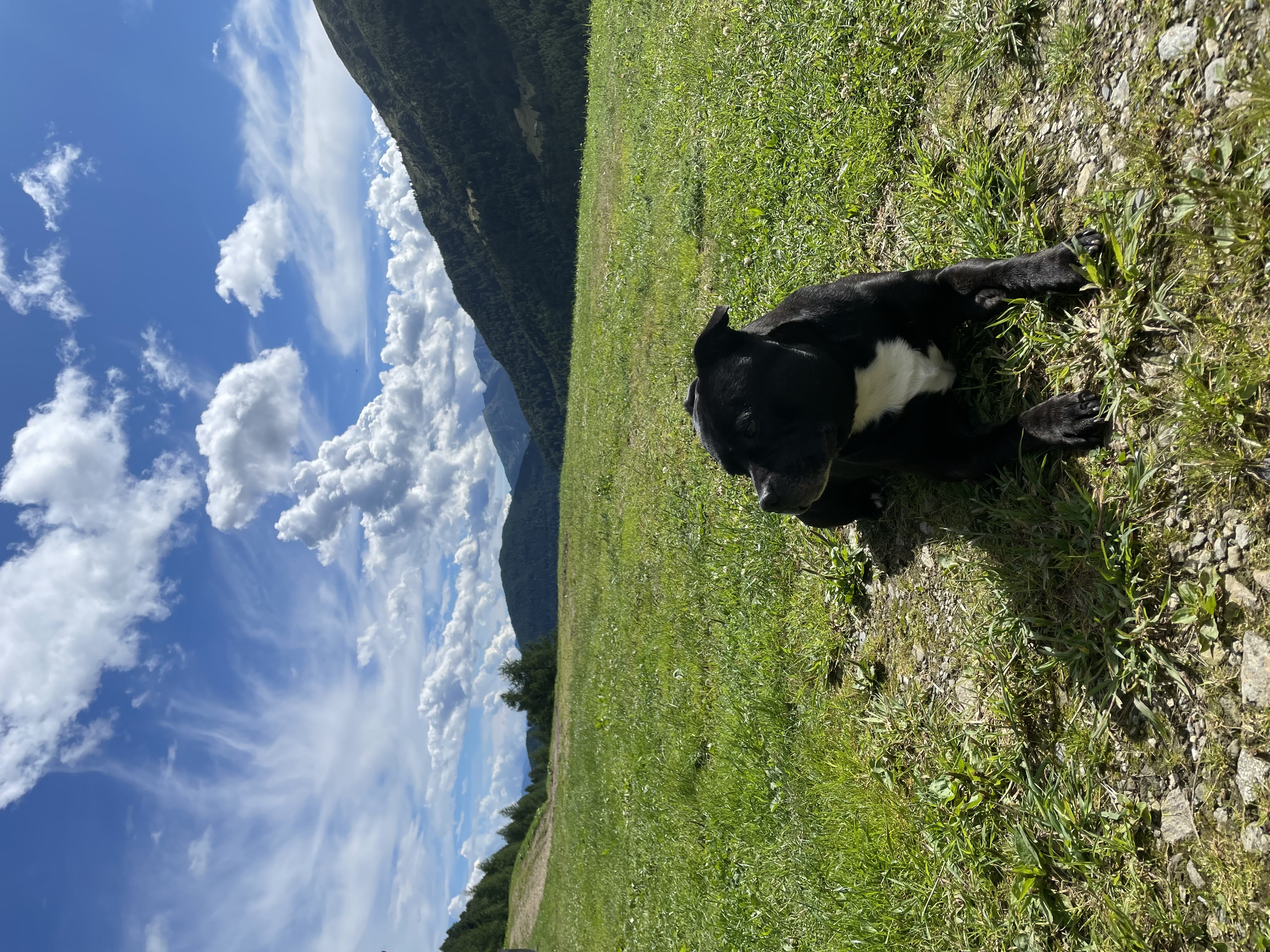 image-8