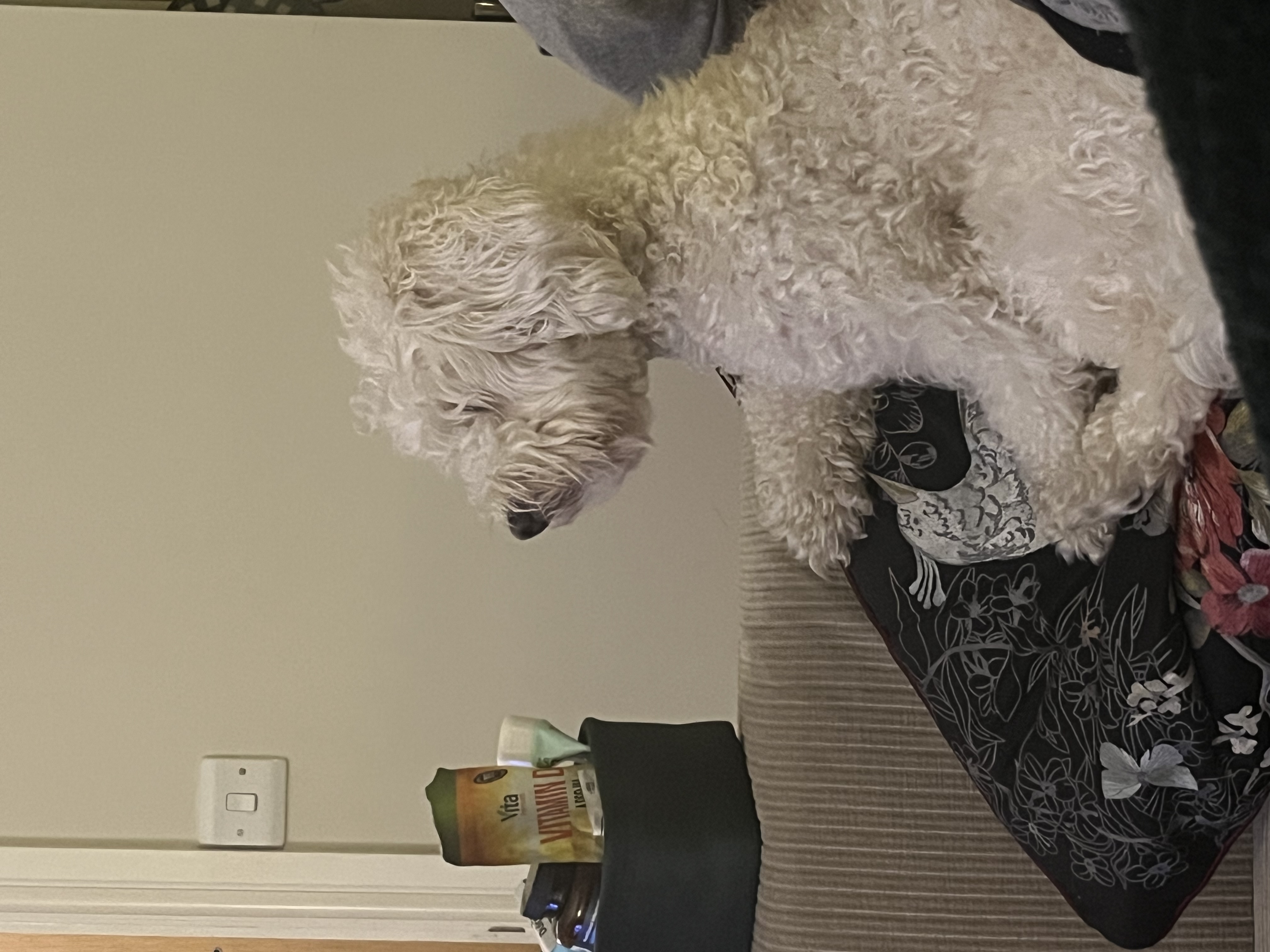 image-5