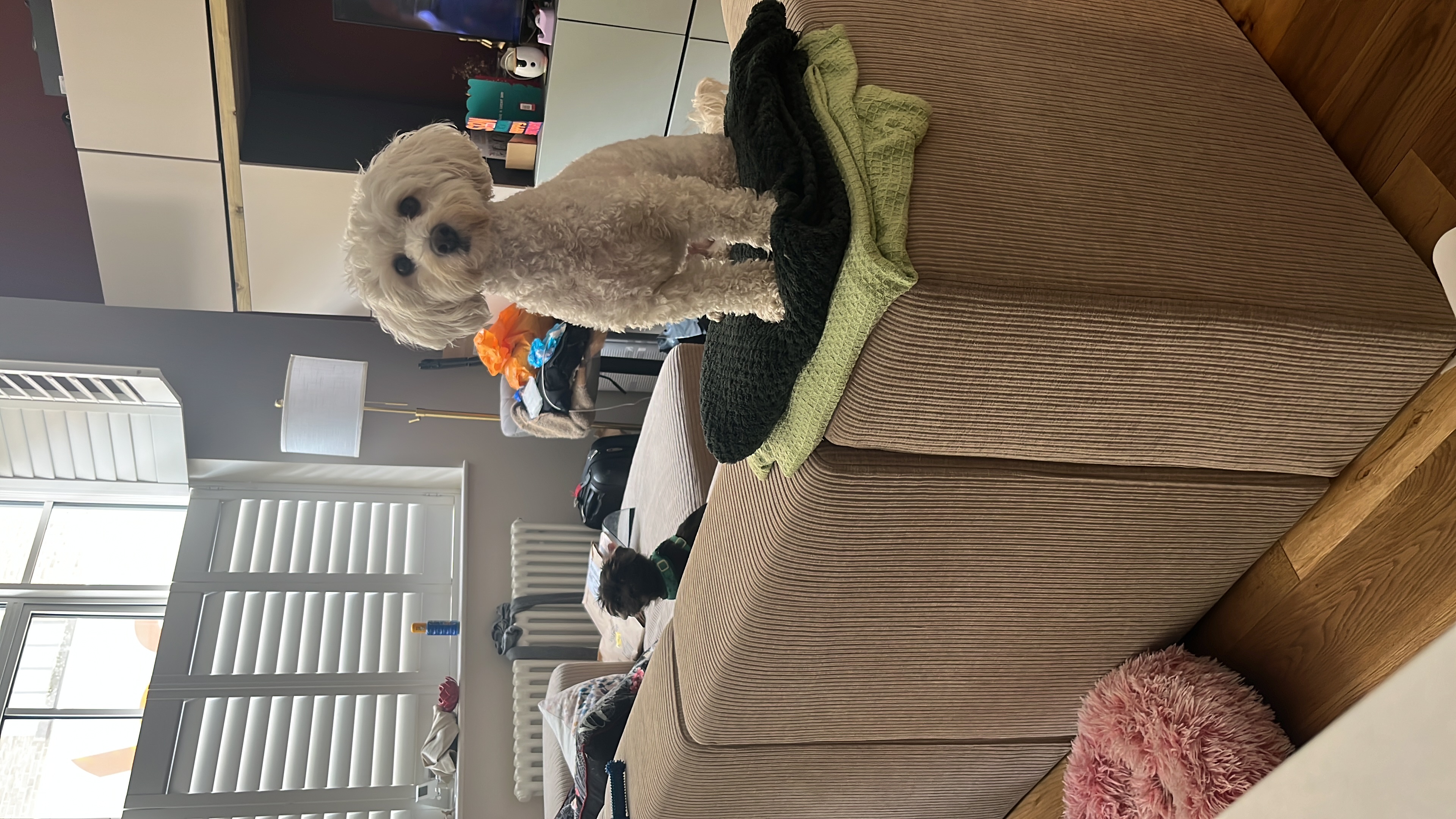 image-8