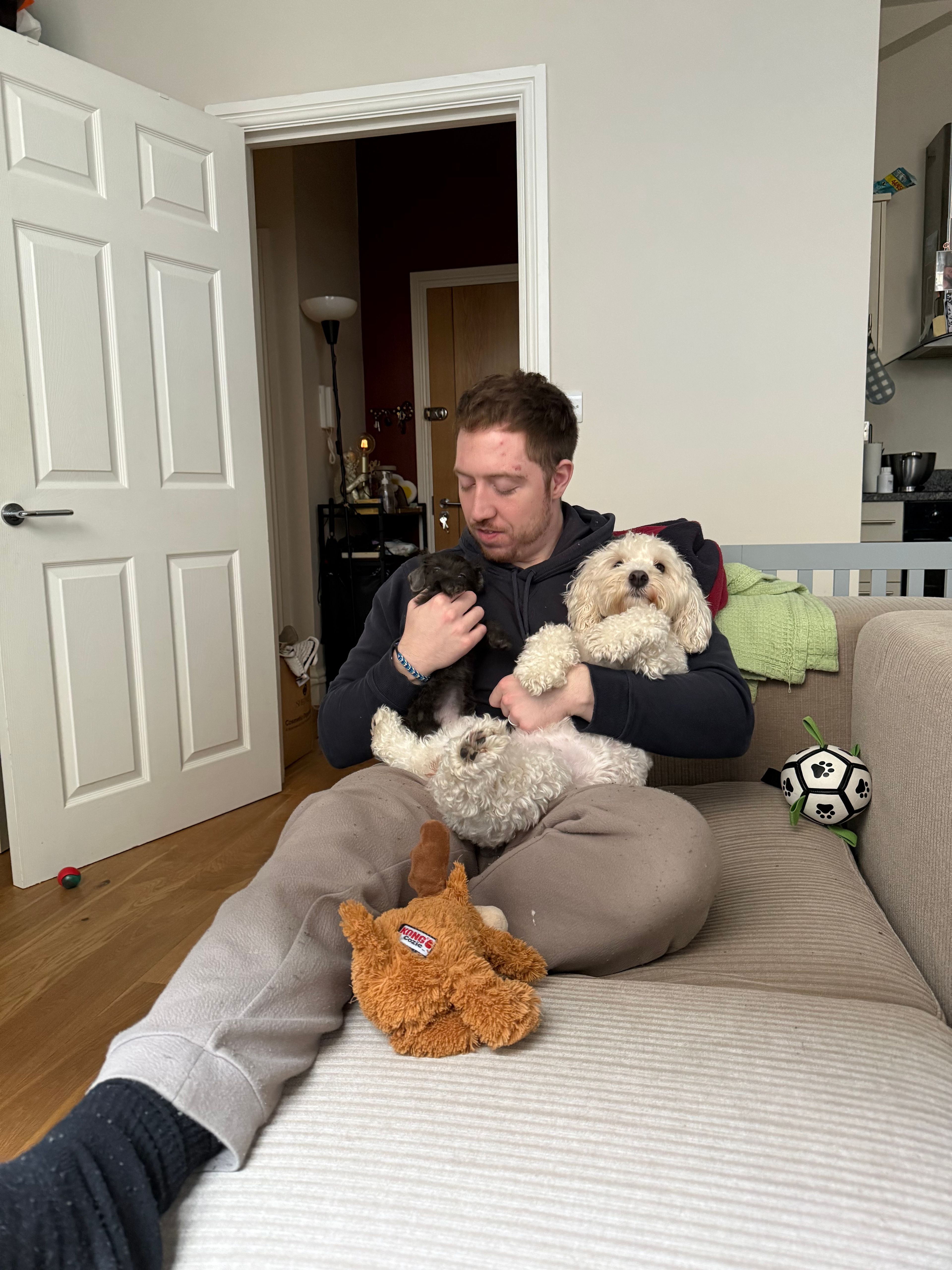 image-16