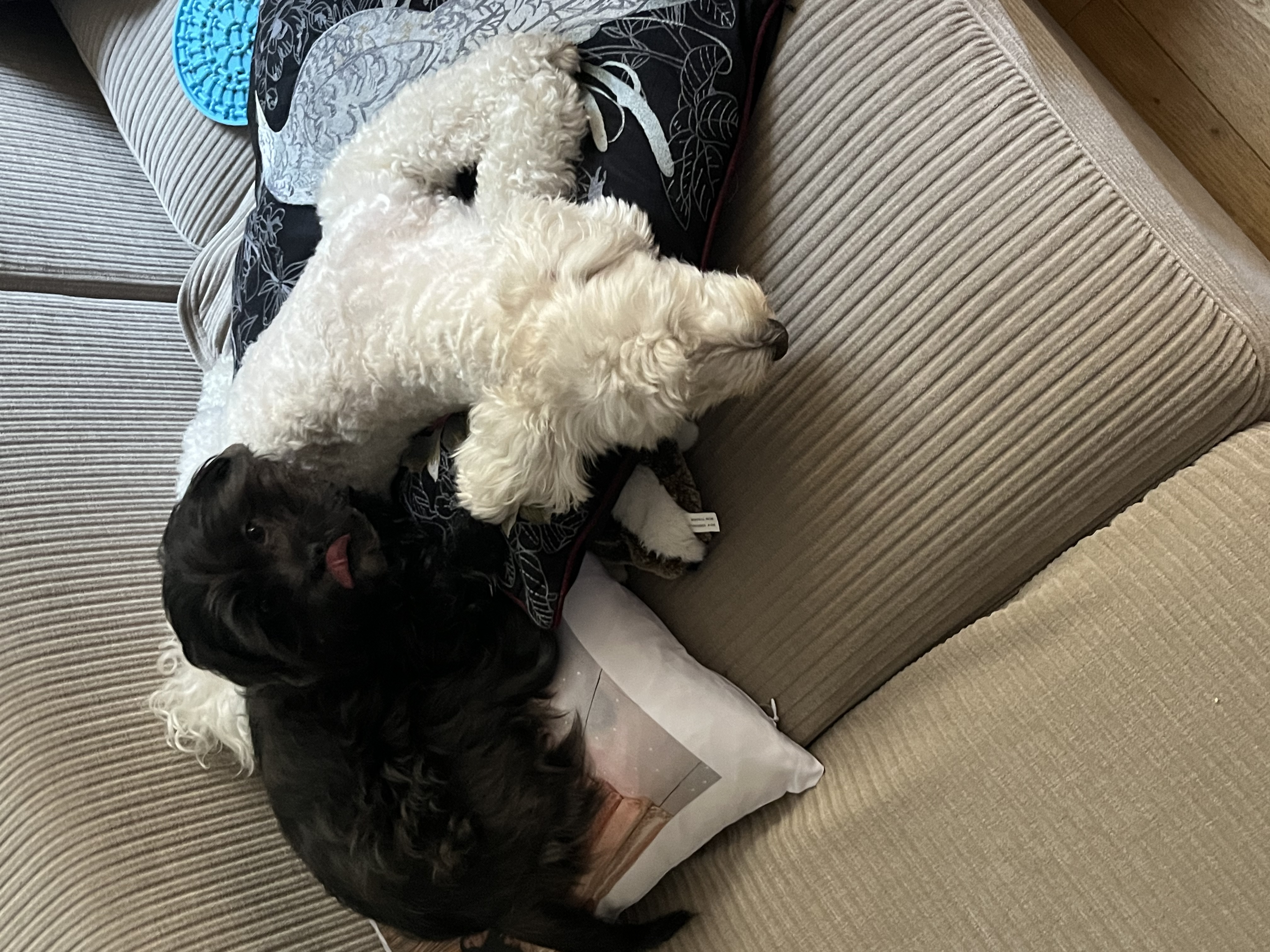 image-9