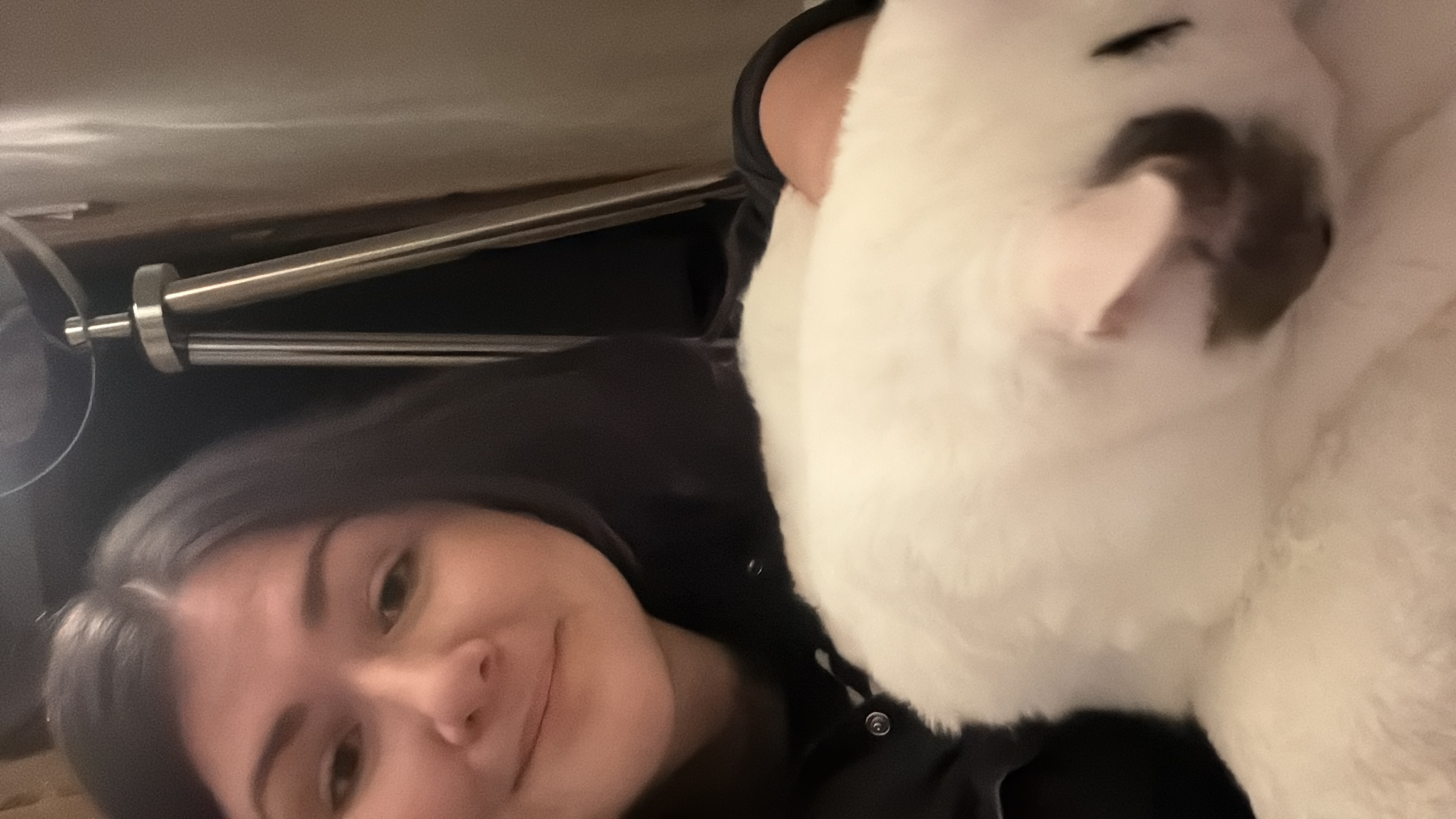 image-8