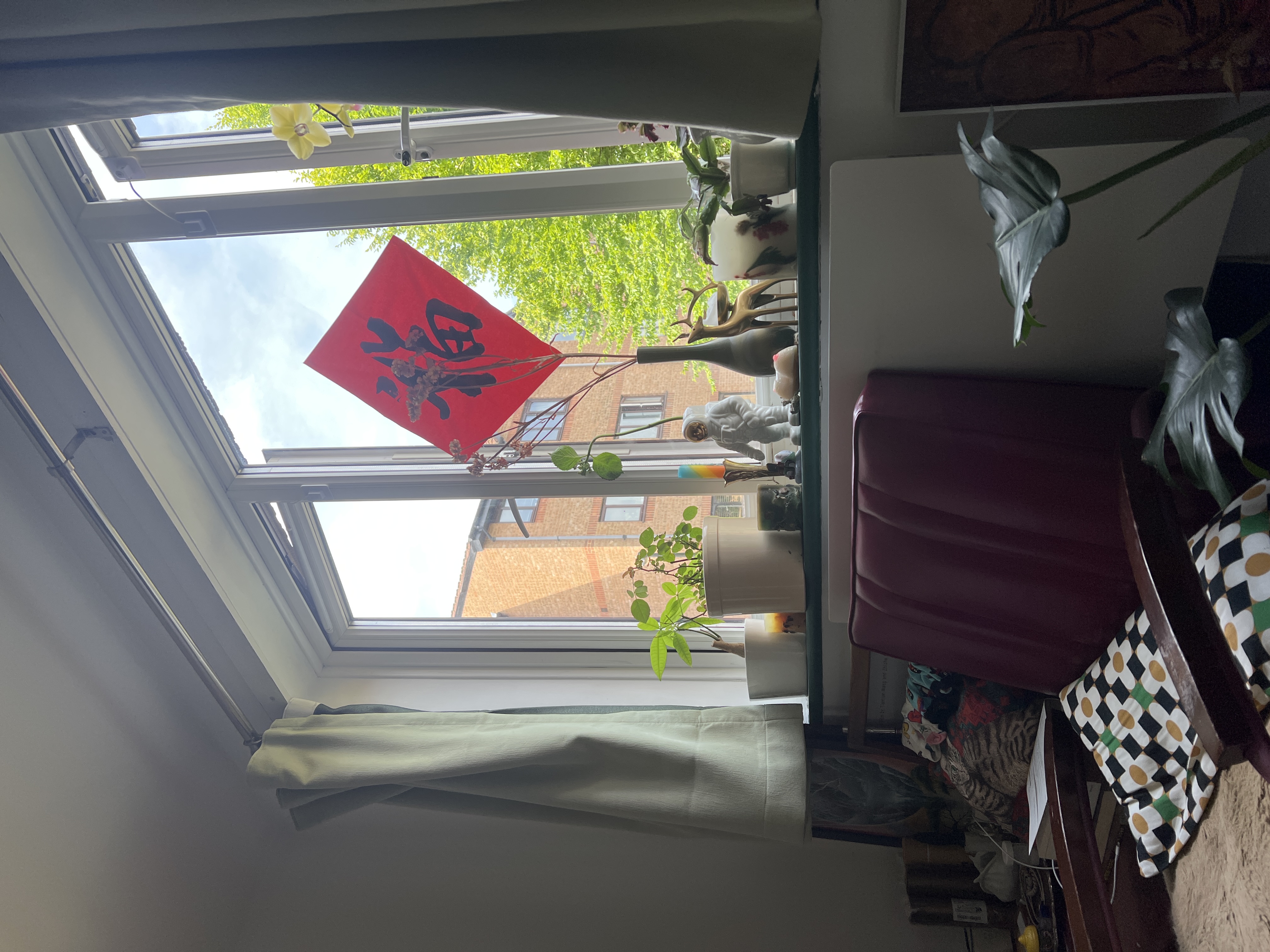 image-8
