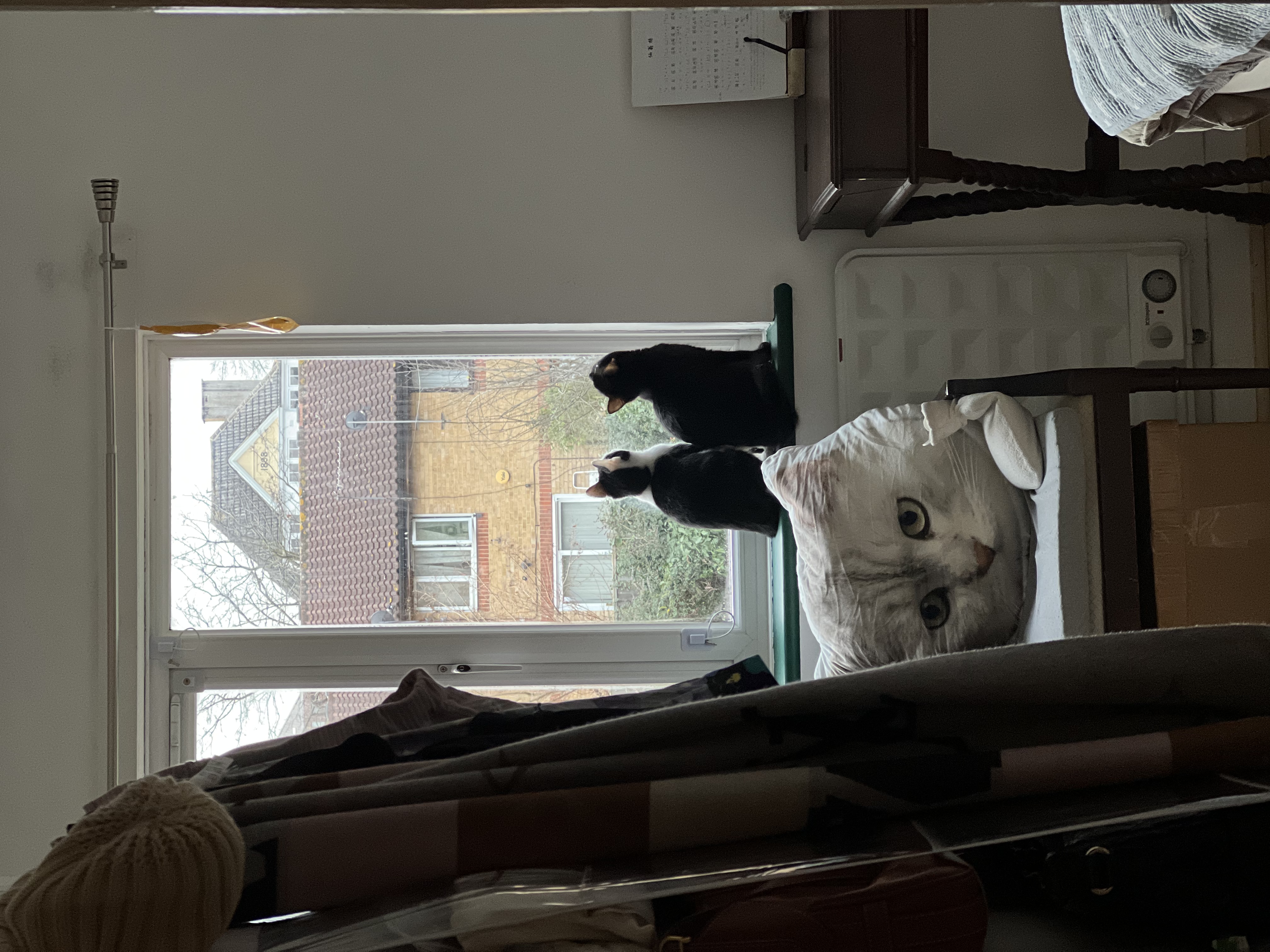 image-16
