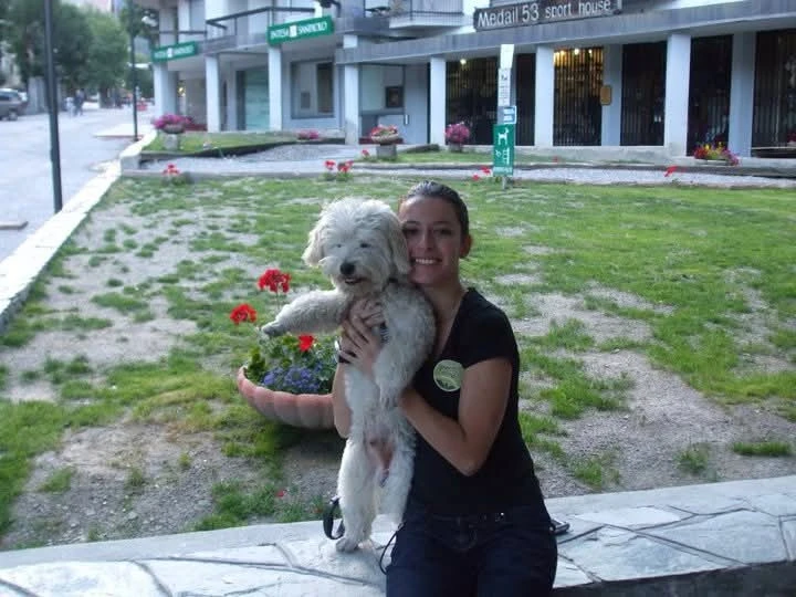 image-3