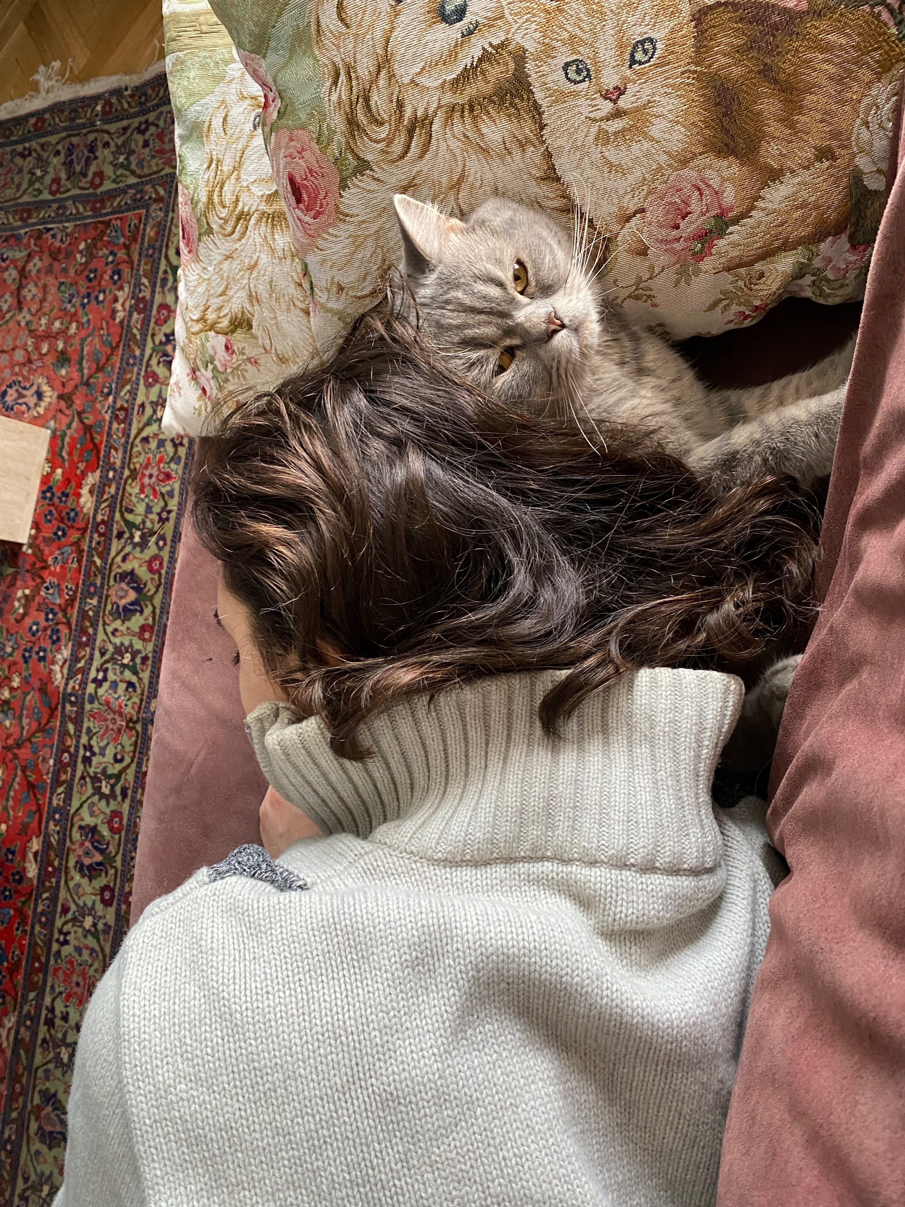image-7