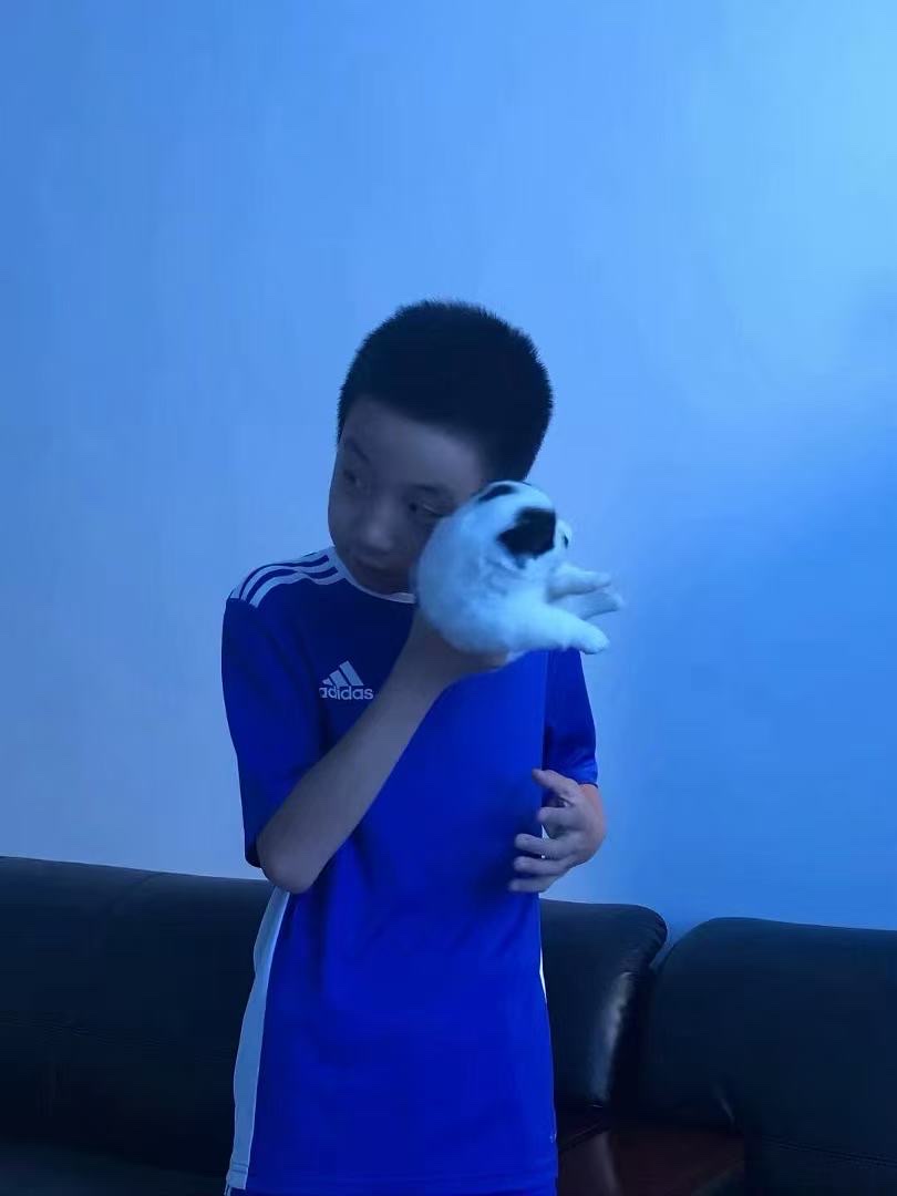 image-4