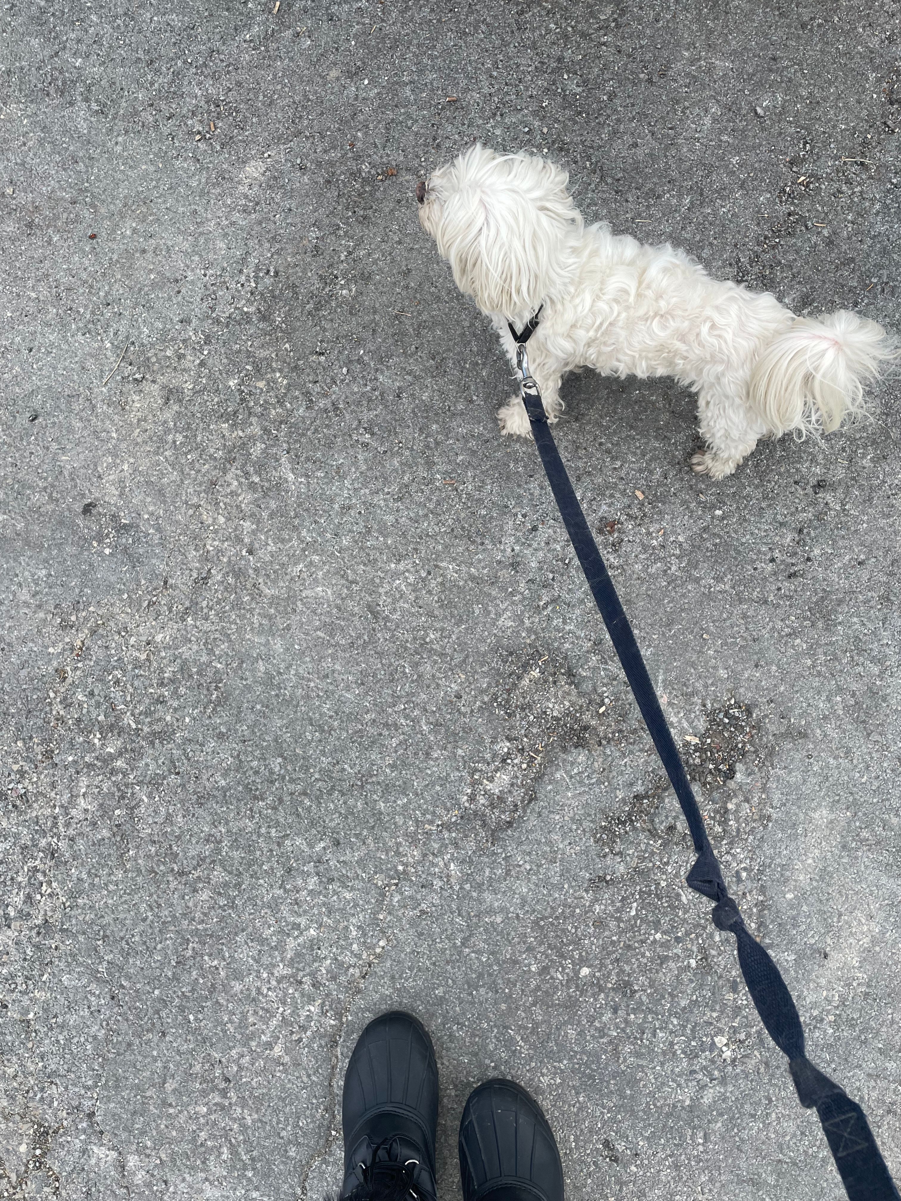 image-6