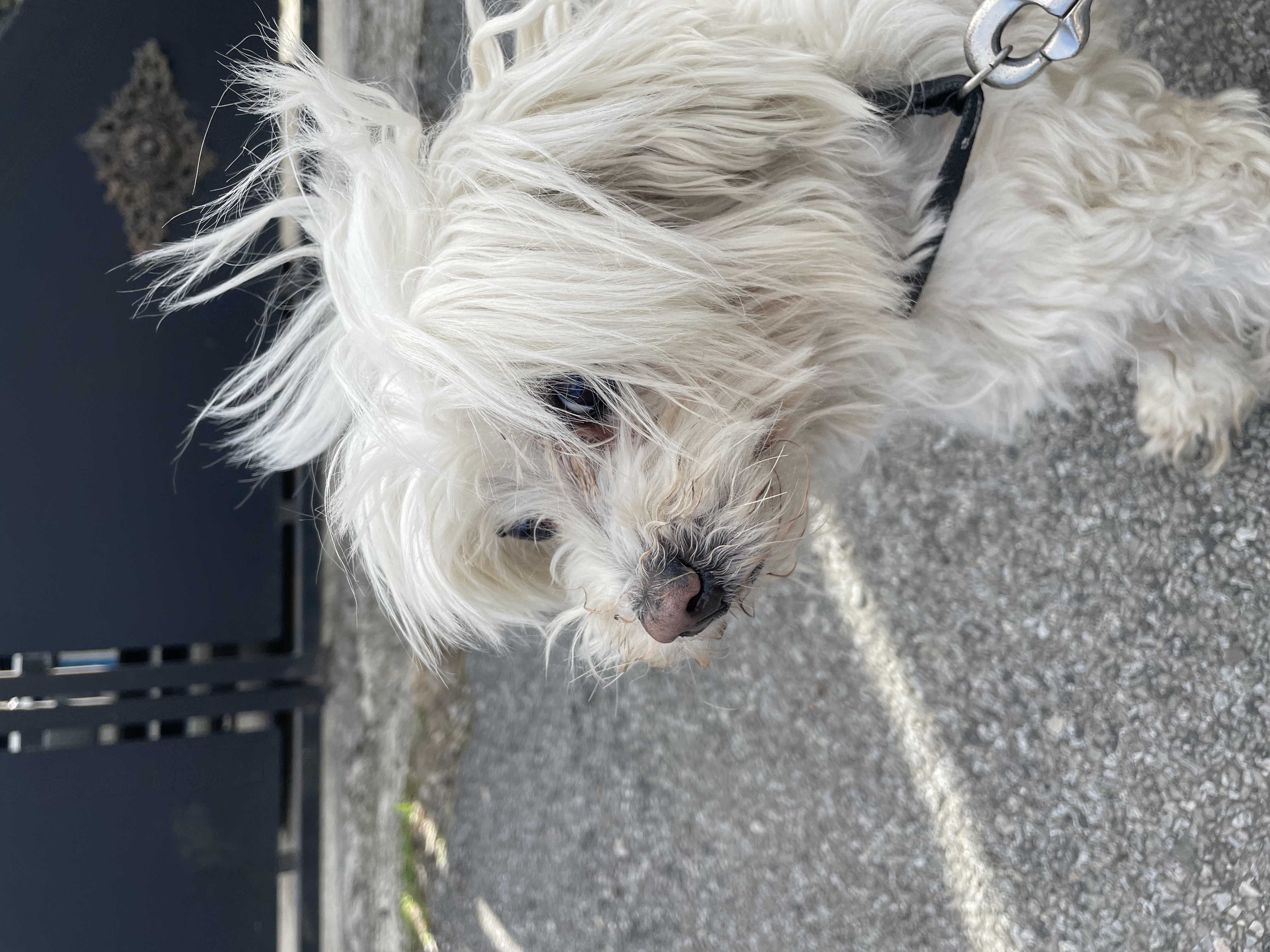 image-7