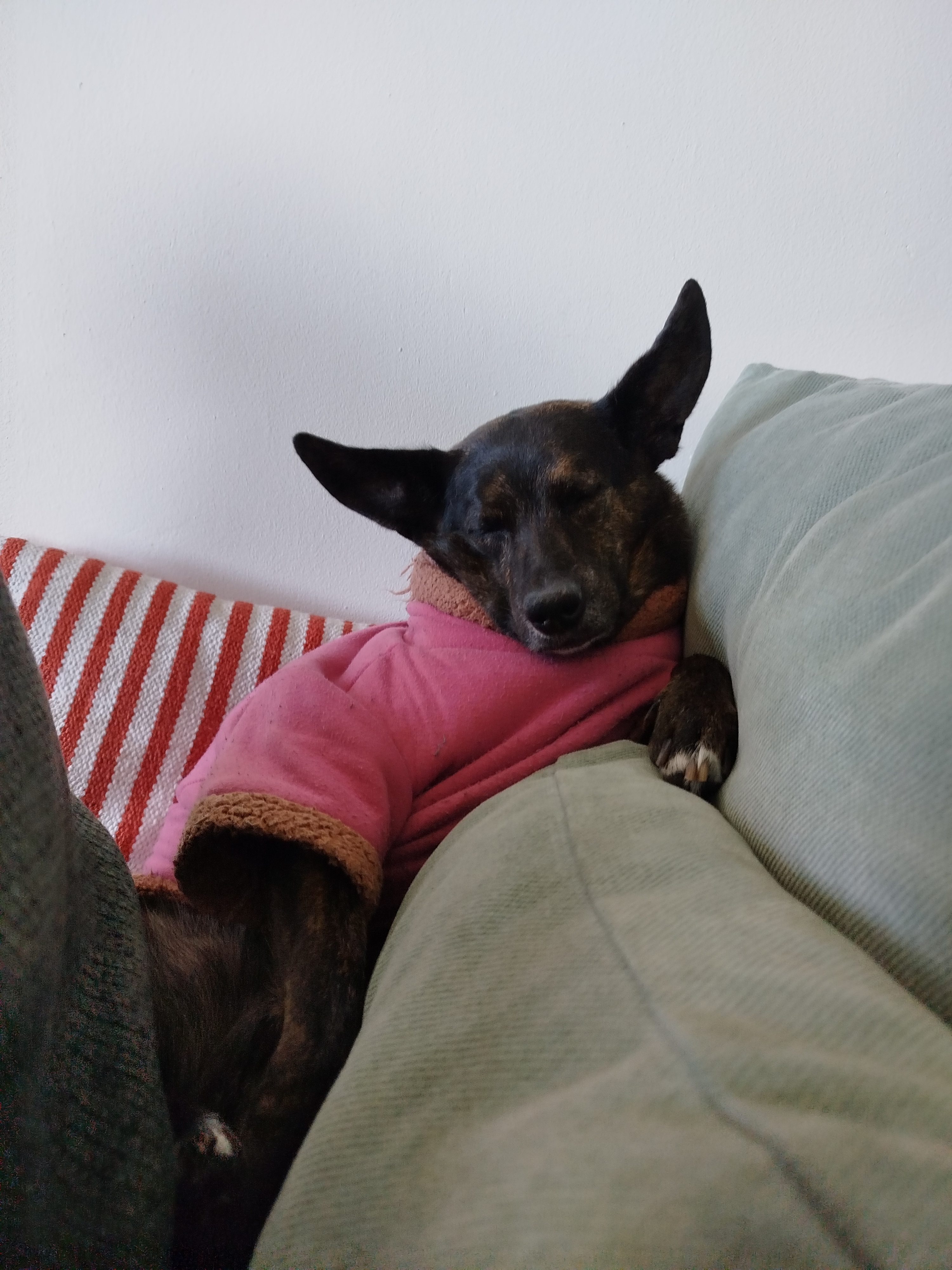 image-9