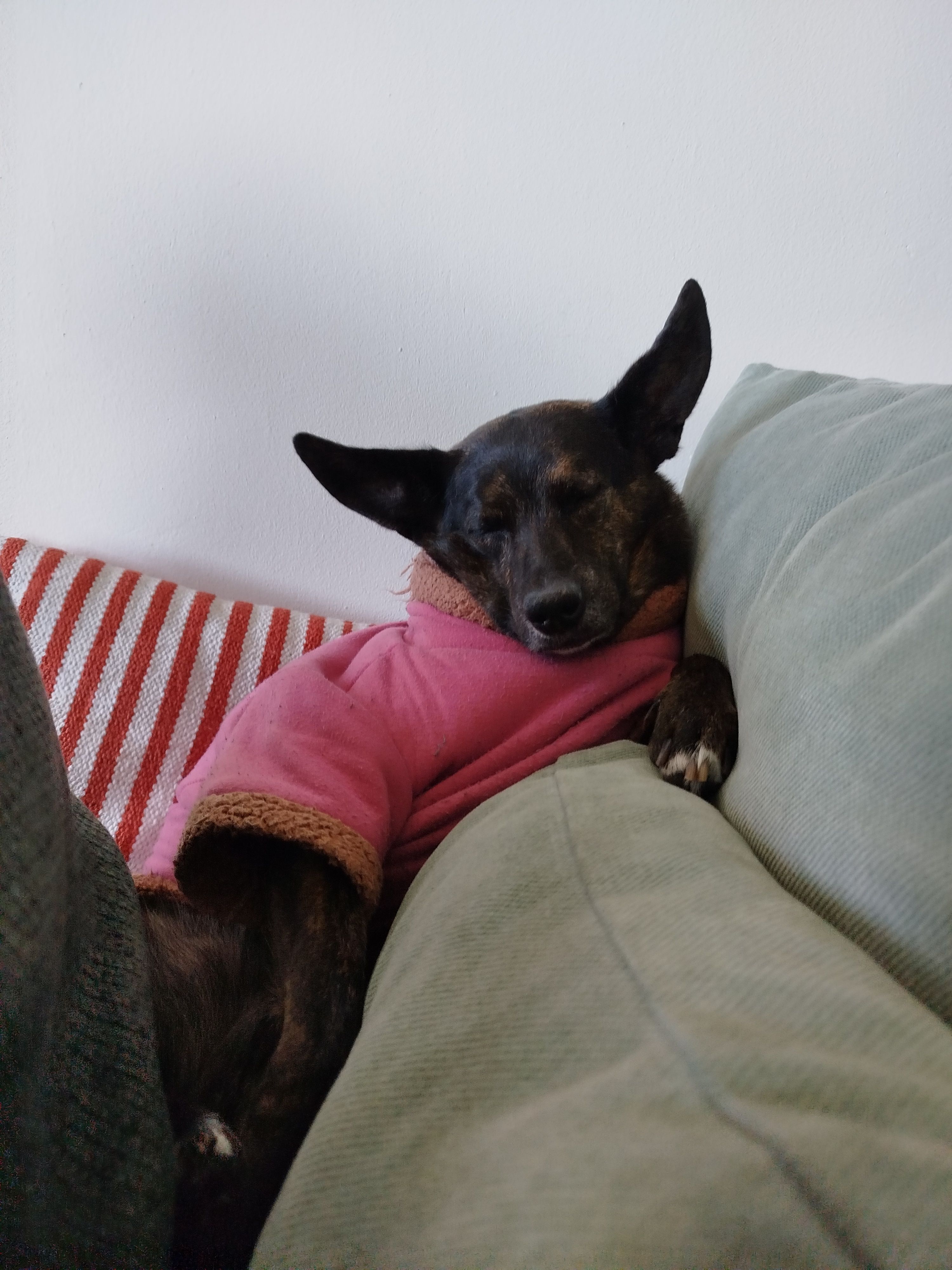 image-9