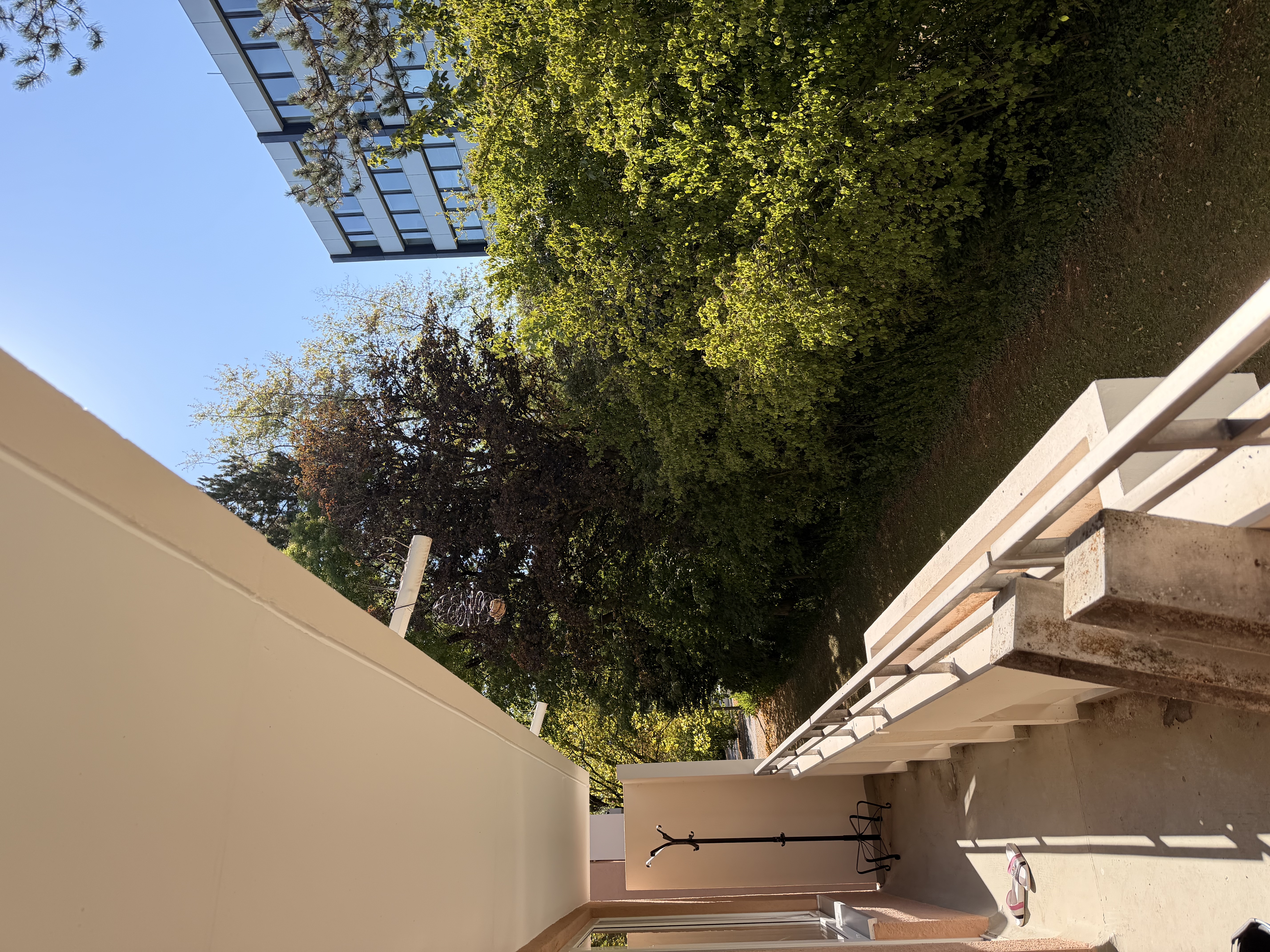 image-20