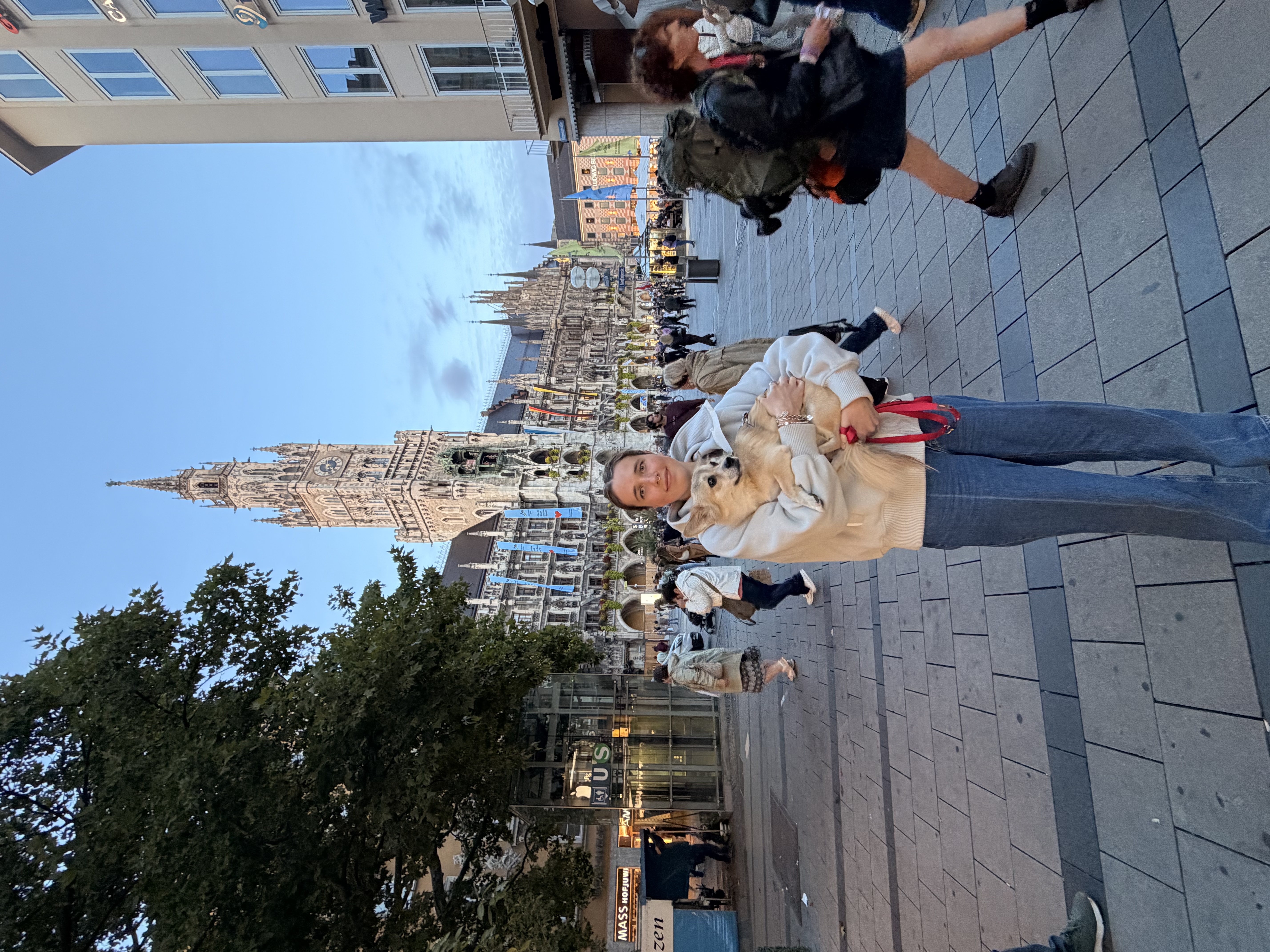 image-14