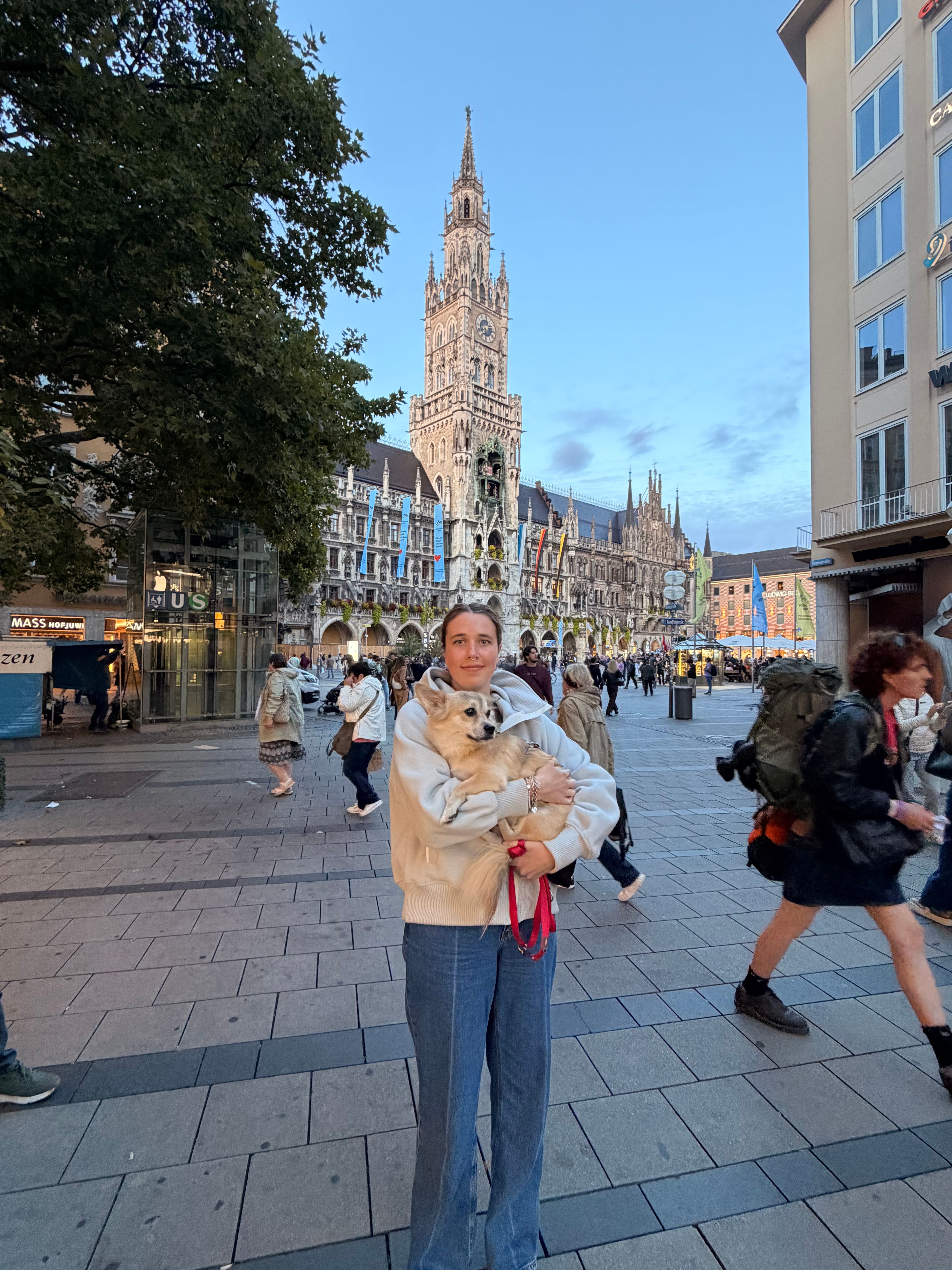 image-14