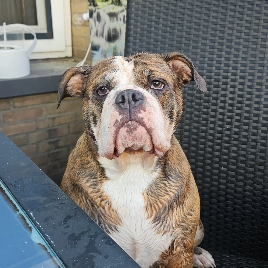 Charlie