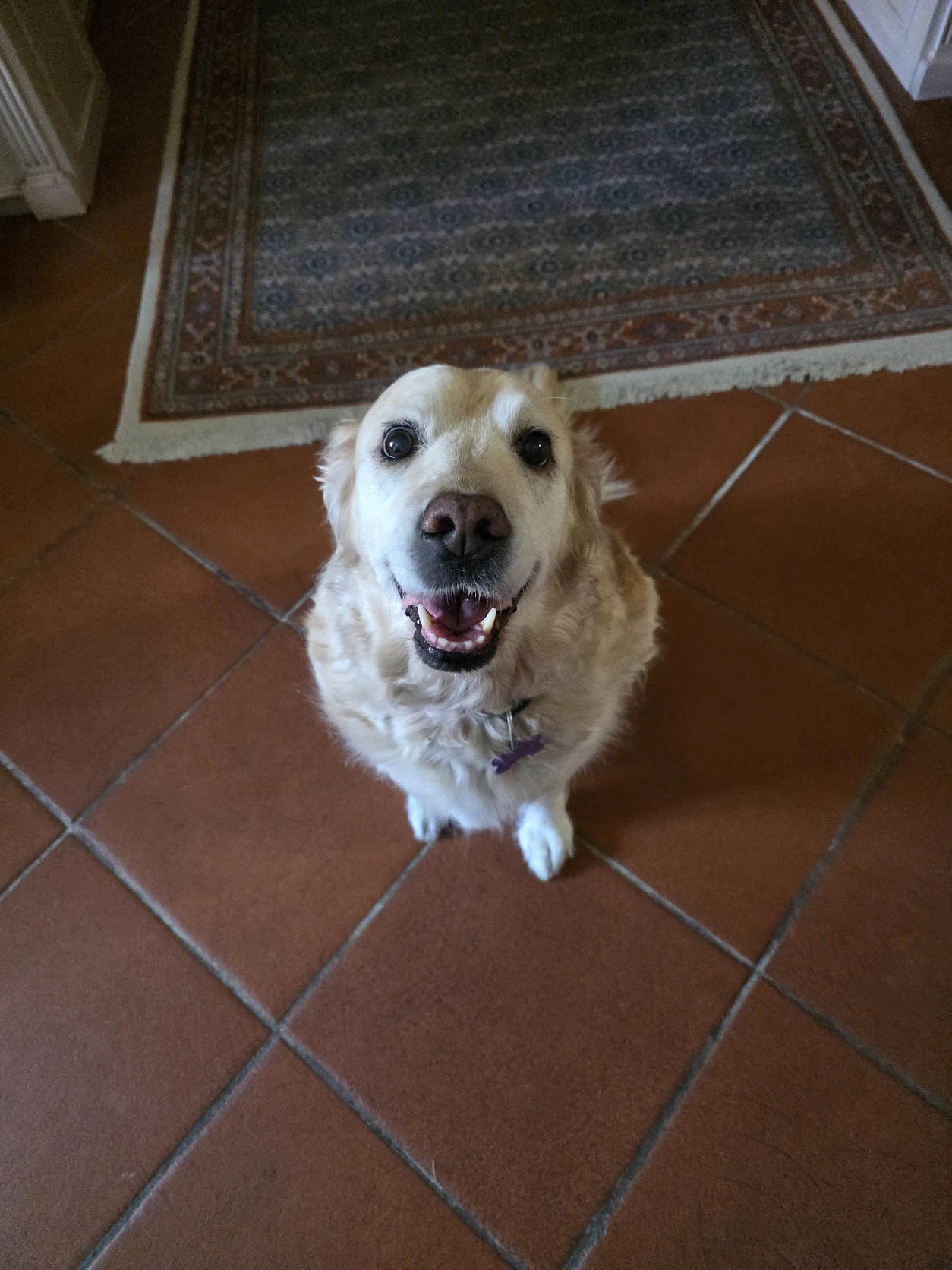 image-3