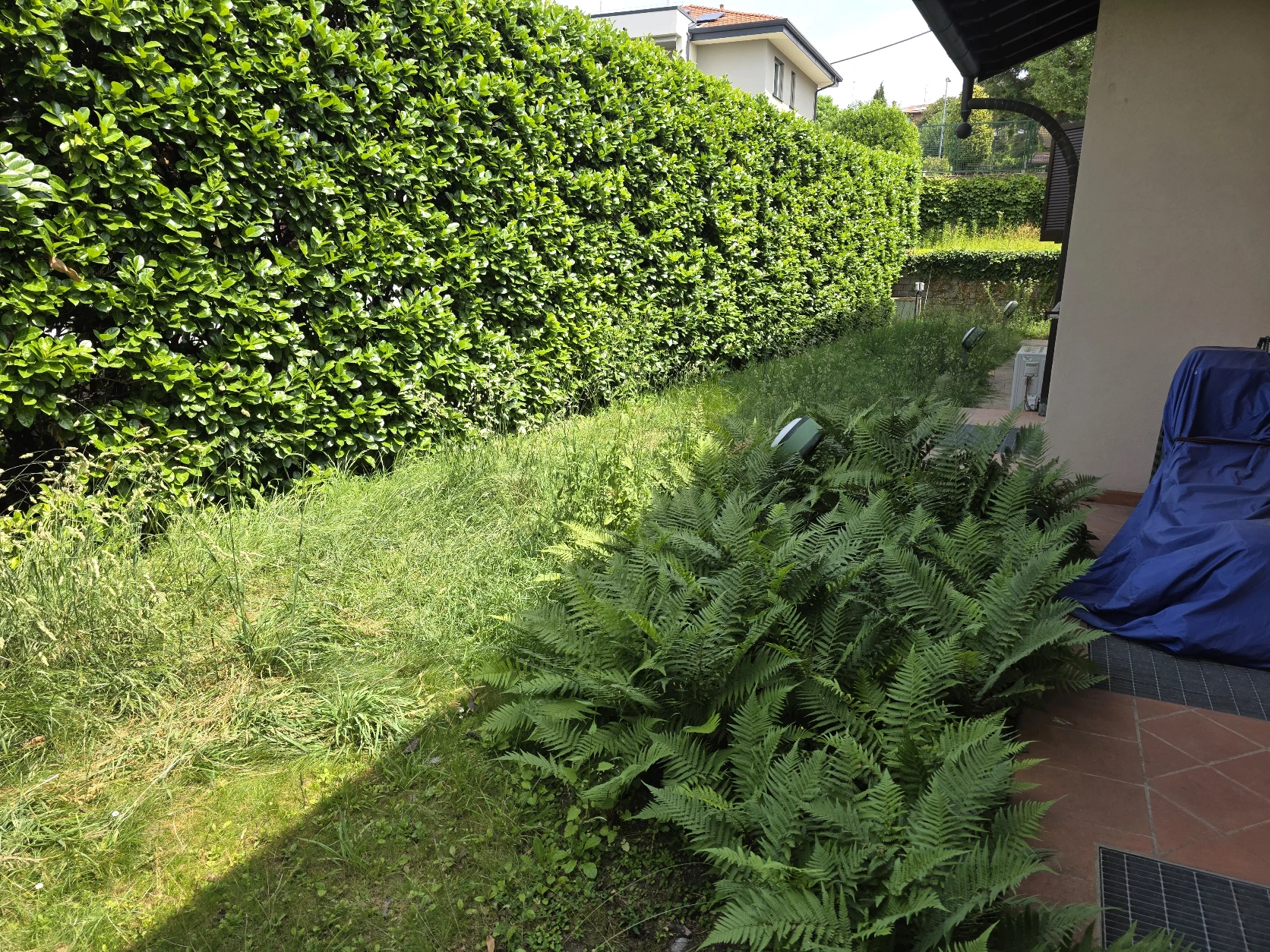 image-20