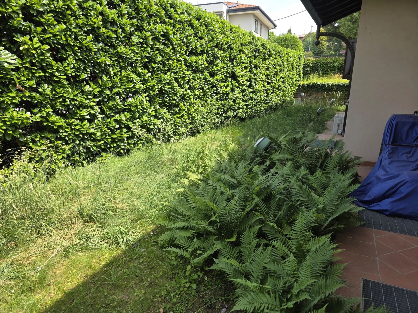 image-20