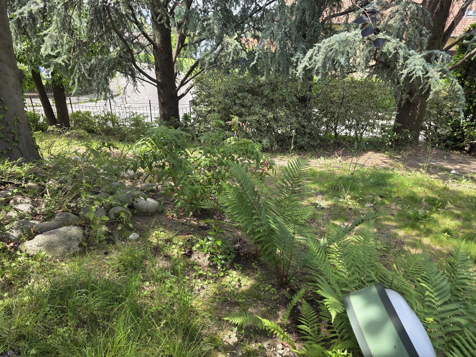 image-19