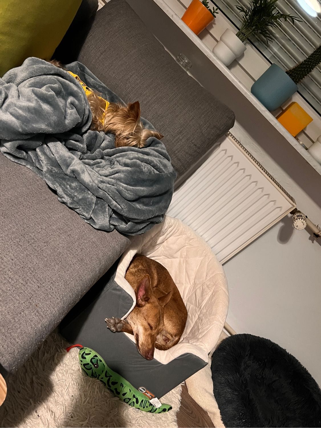 image-12