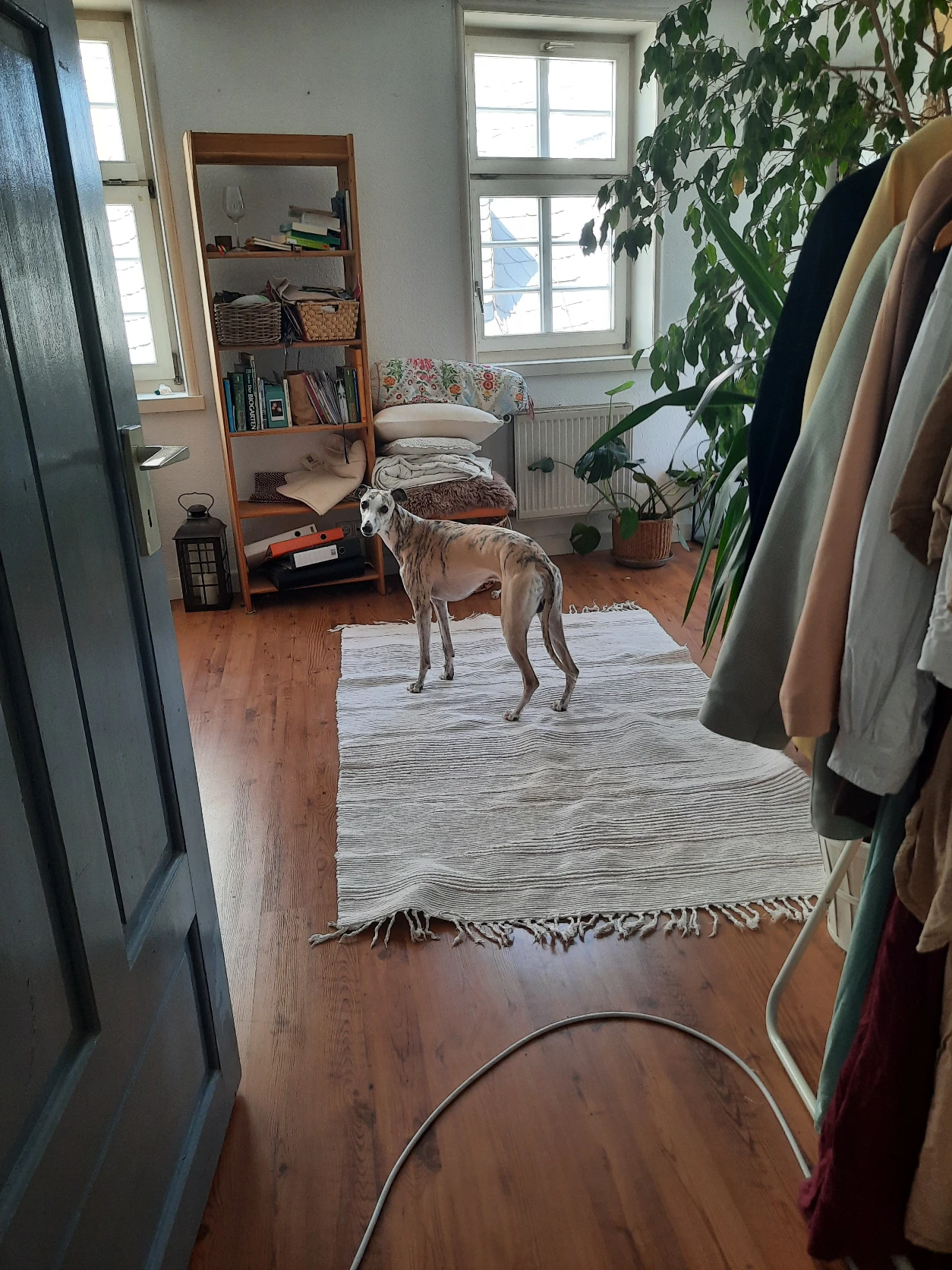image-18