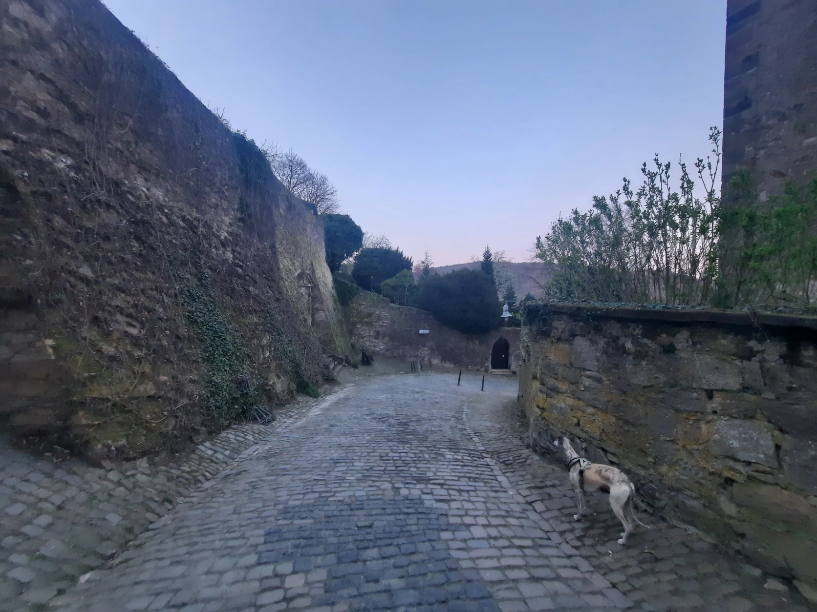 image-12