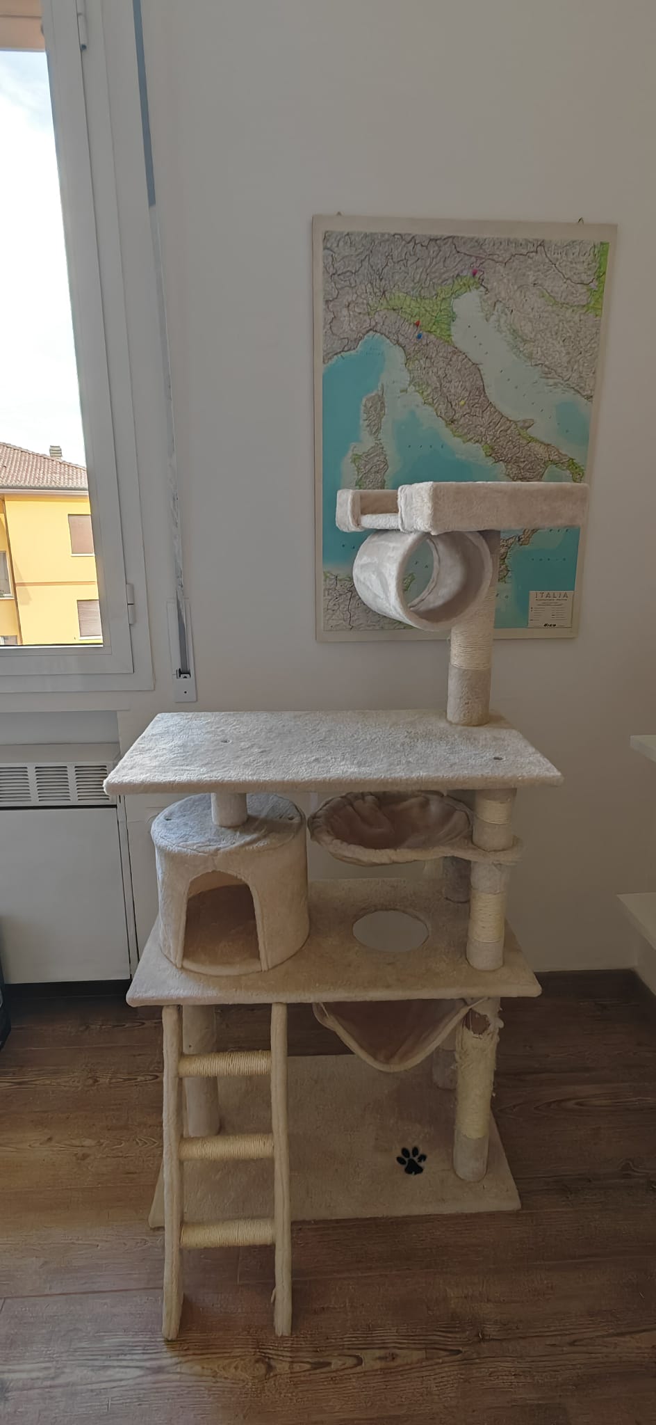 image-7